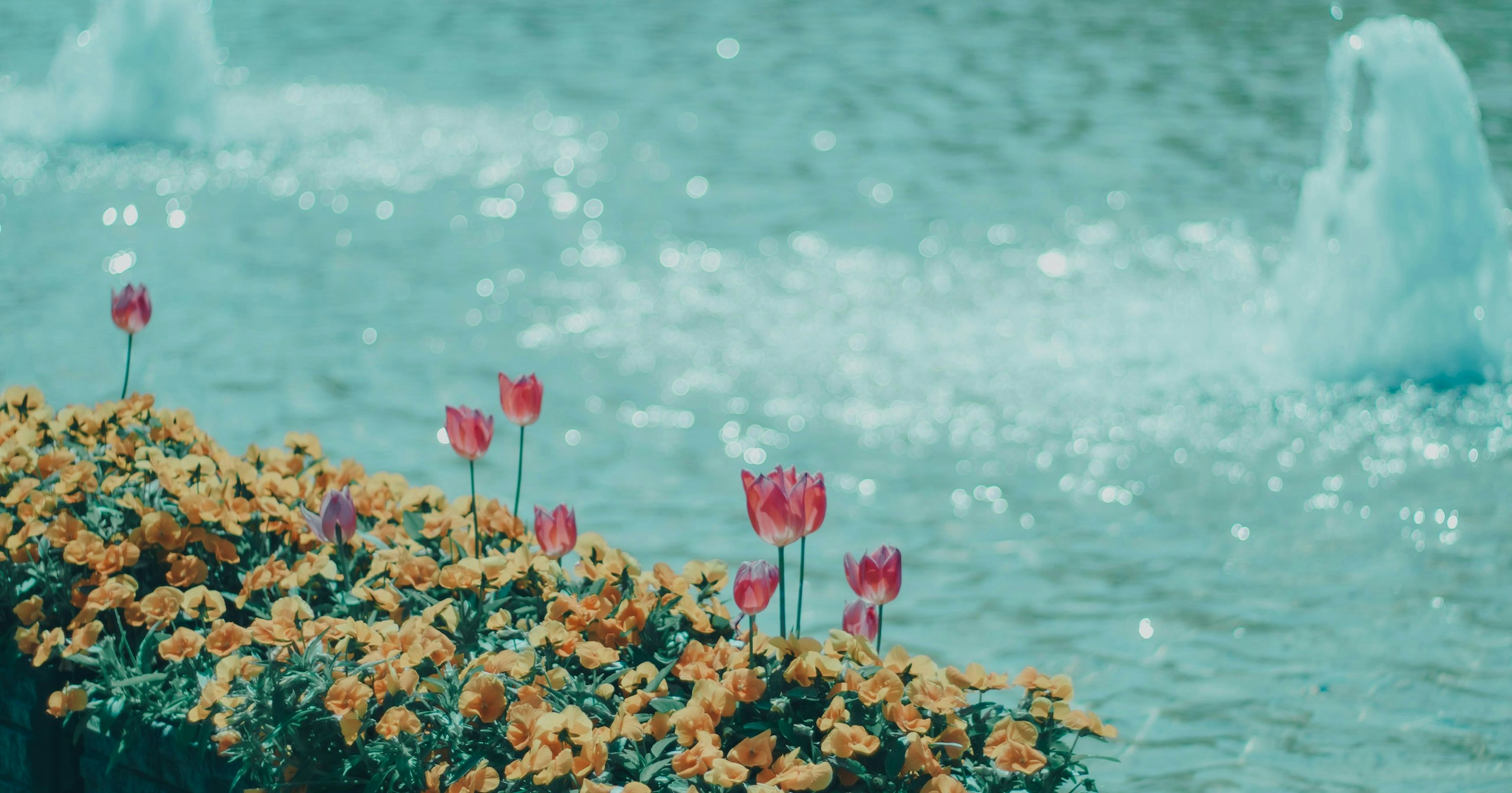 Il parco in primavera: non solo fiori | Focus #651