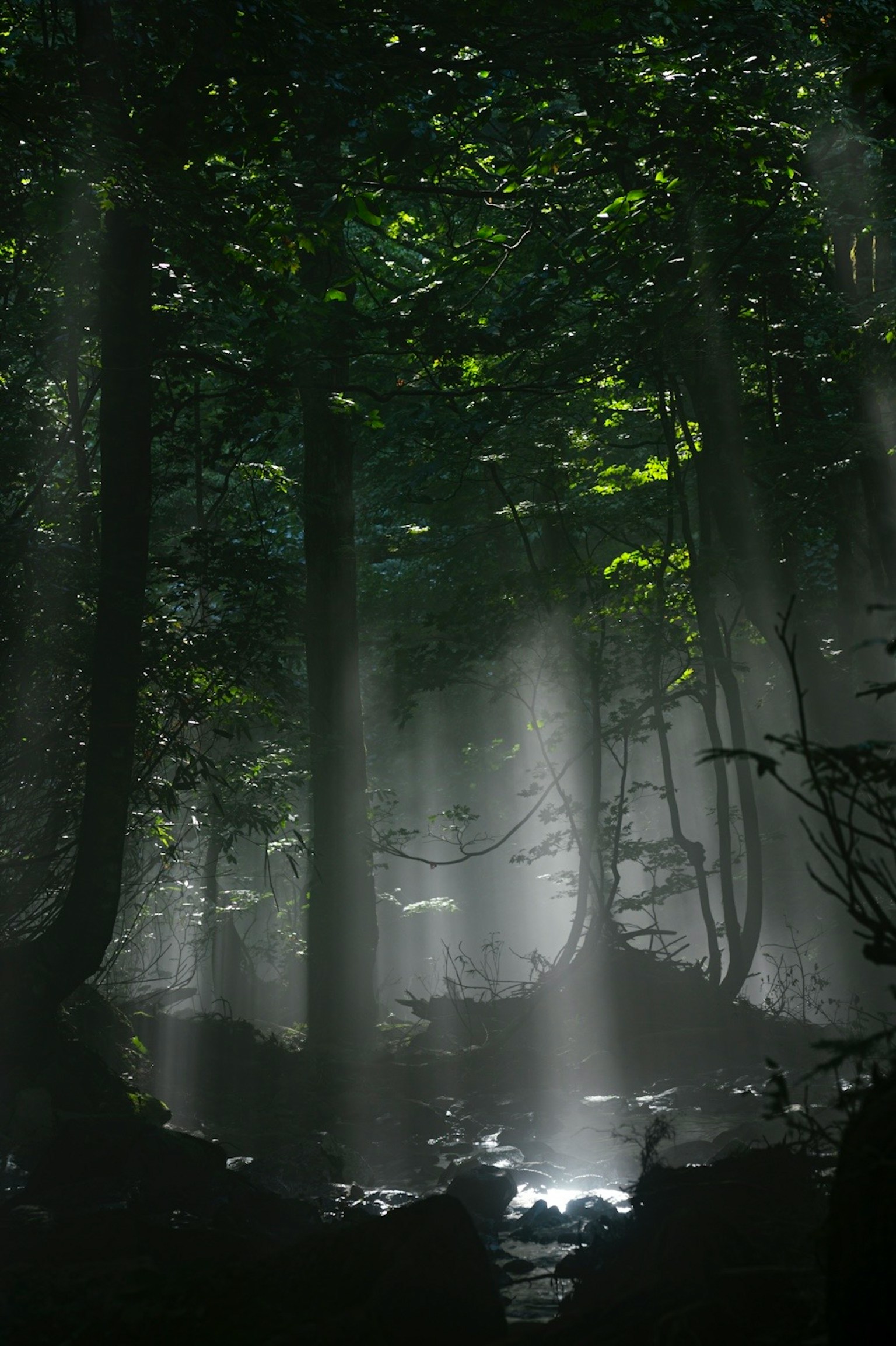 2024-05-landscape-memories-with-music-image-14
