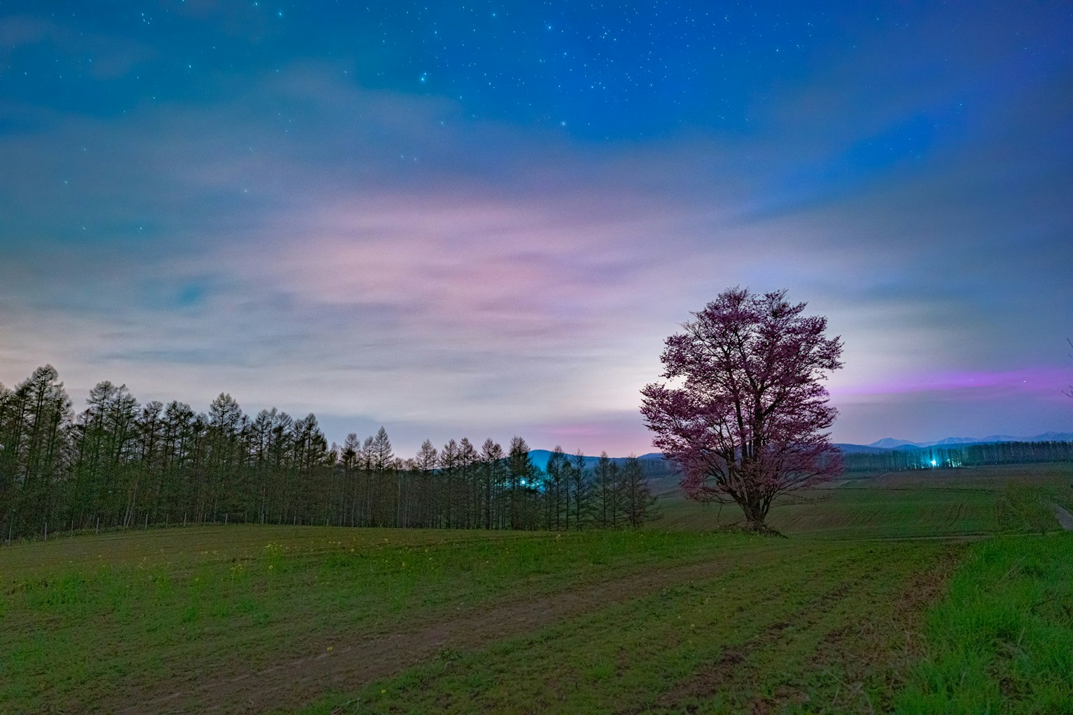 2024-05-aurora-japan-image-5