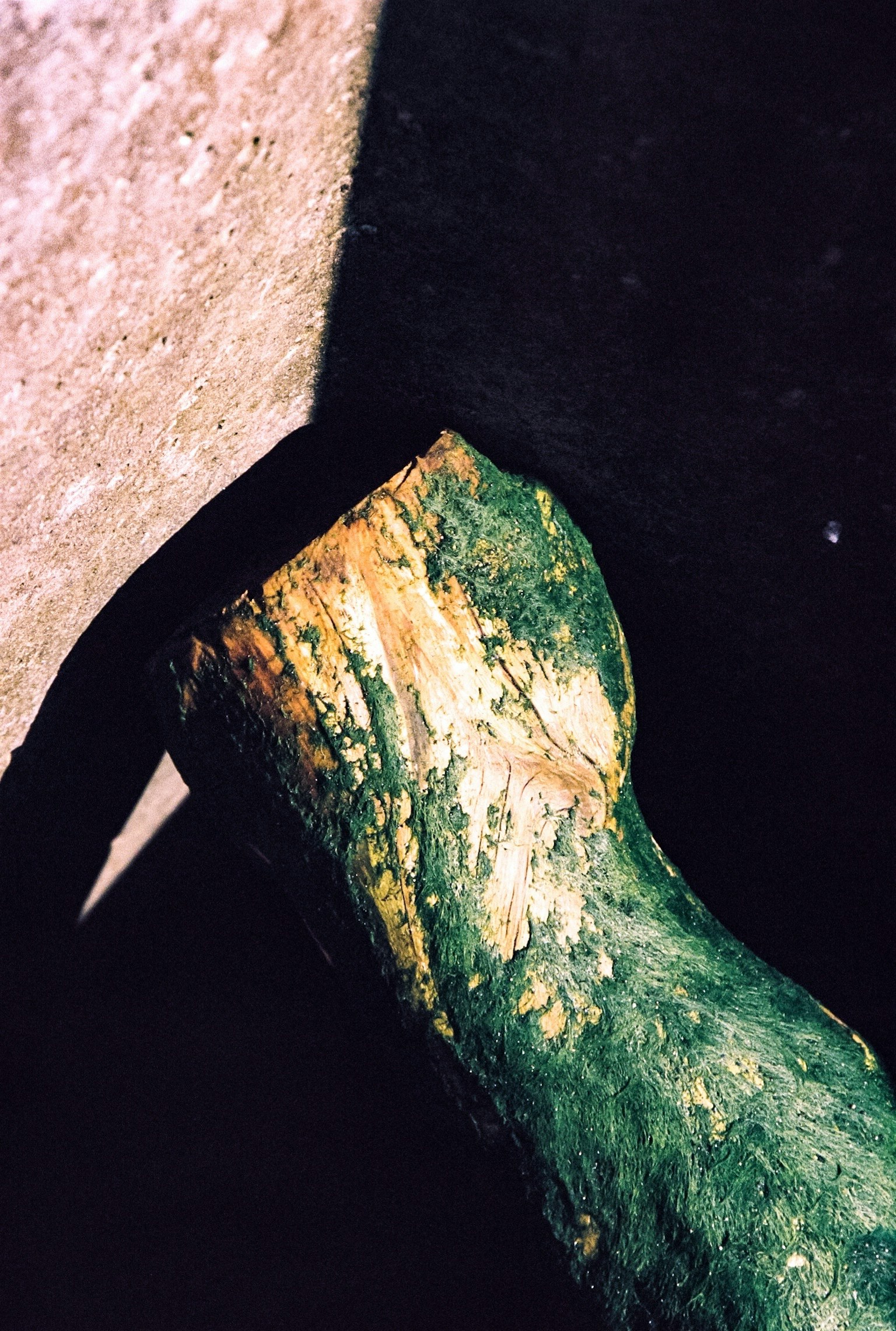 2024-05-fall-into-decay-image-25
