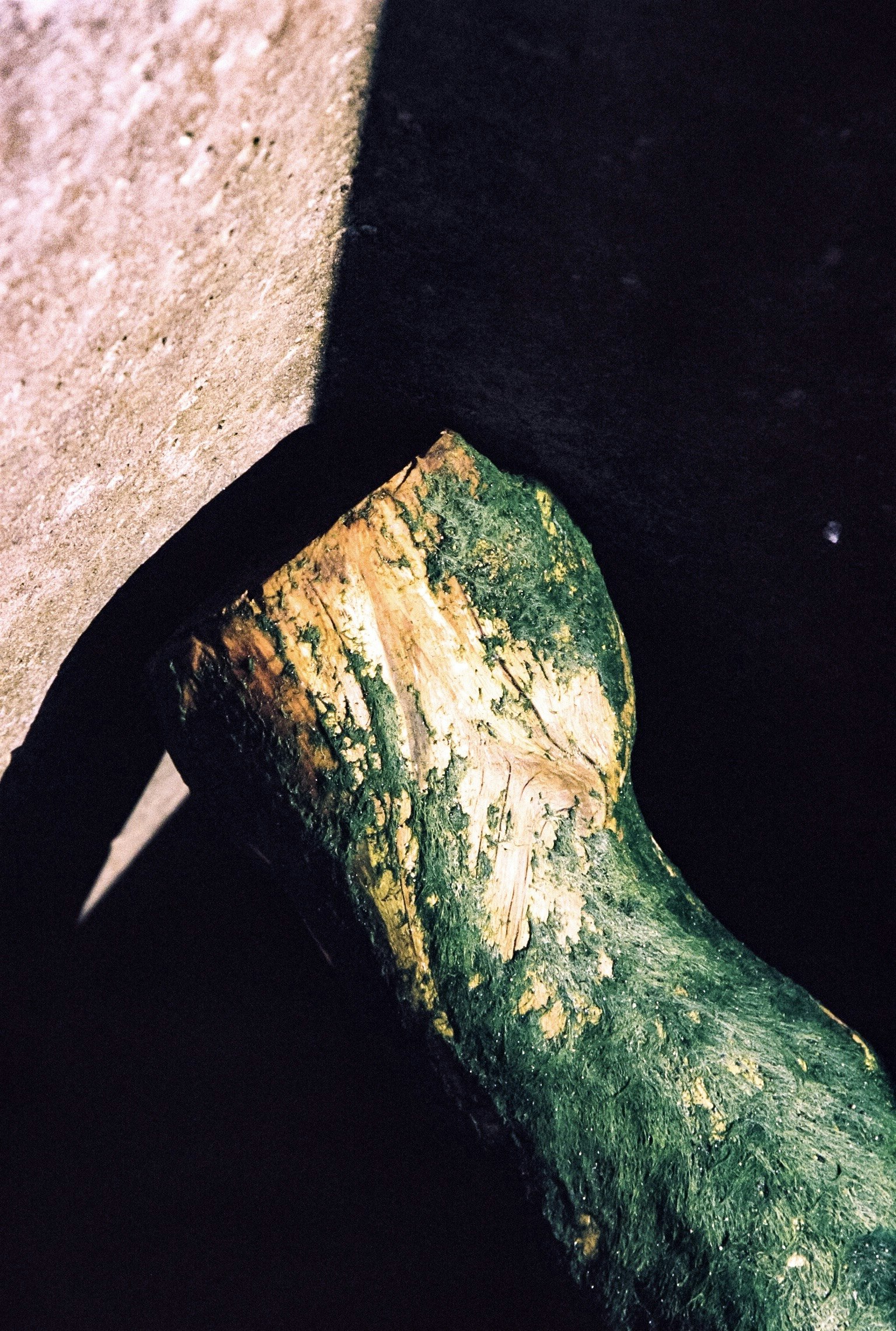 2024-05-fall-into-decay-image-25