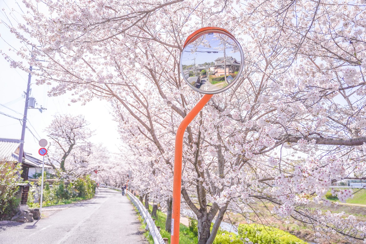 Image by らっしぃ