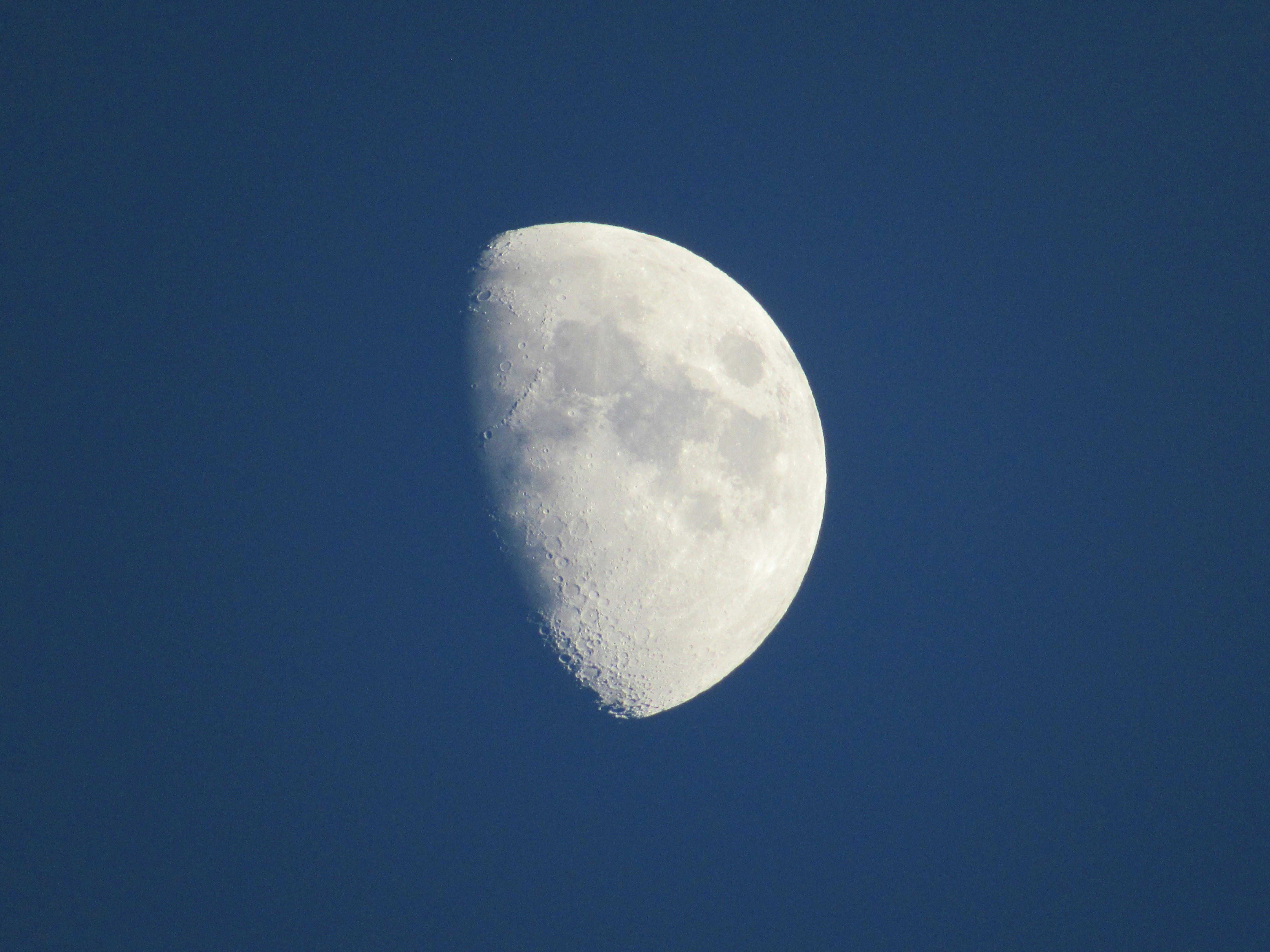 2026-09-capture-the-moon-of-expression-image-8