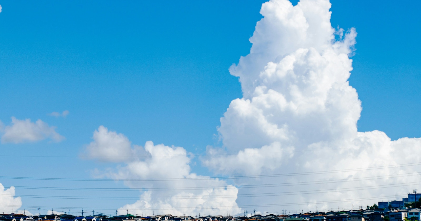 What to Capture in Summer? | Focus #284