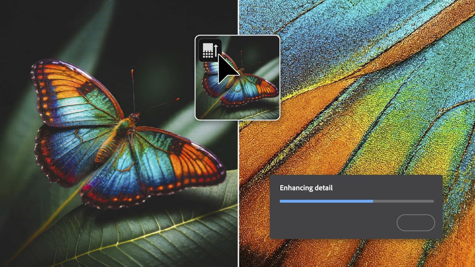 2024-07-adobe-photoshop-gen-image-image-7