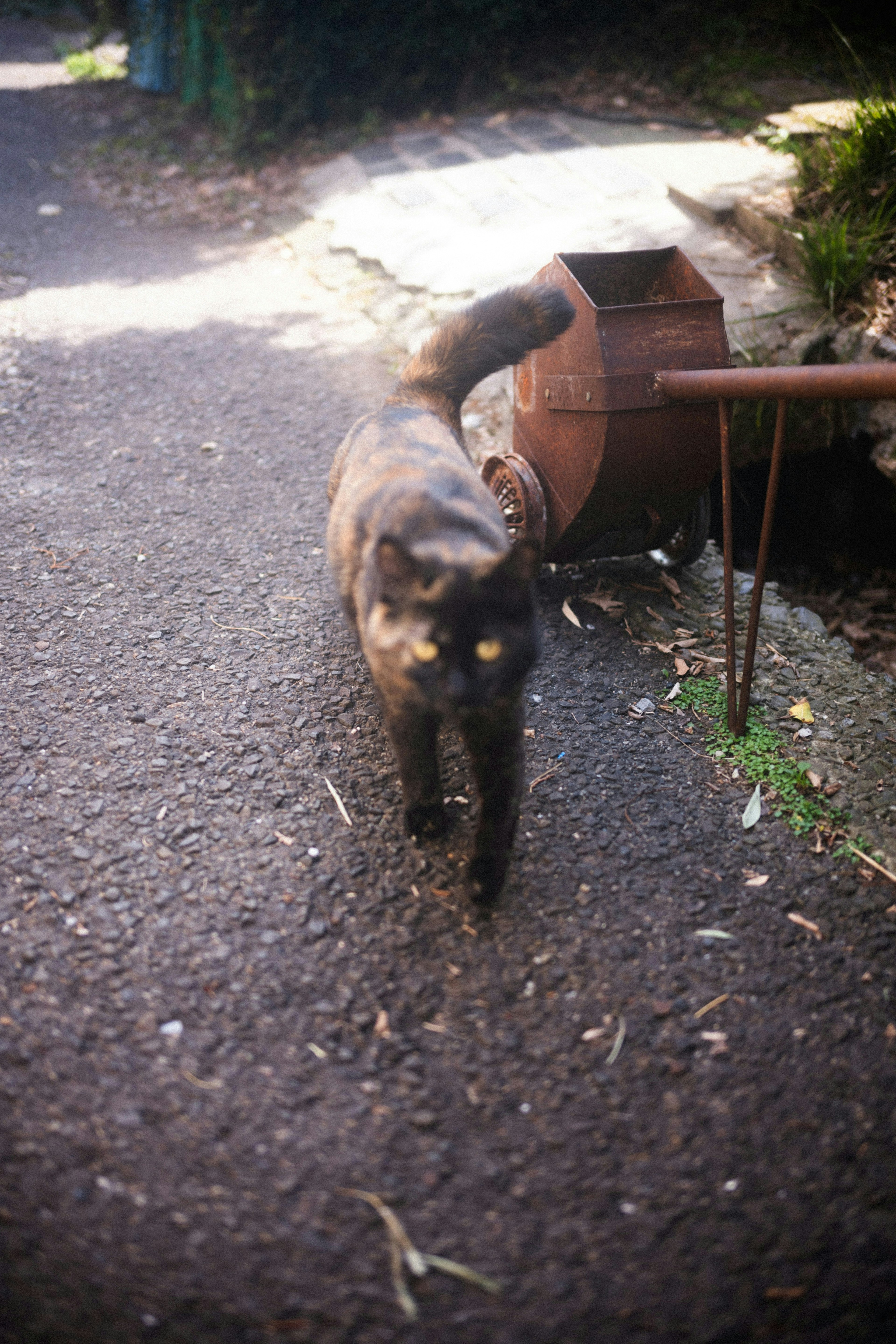 2025-07-are-bure-bokeh-image-9