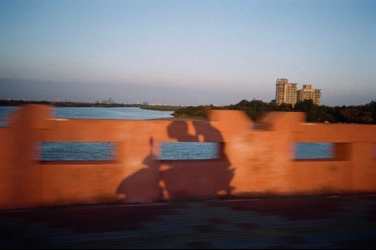2026-06-film-report-image-7