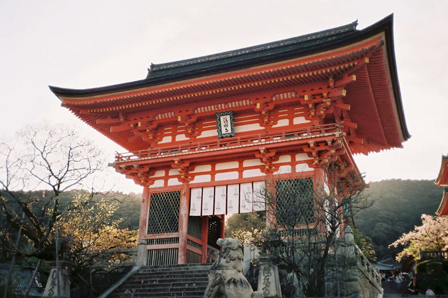 2024-06-rollei-35af-image-7
