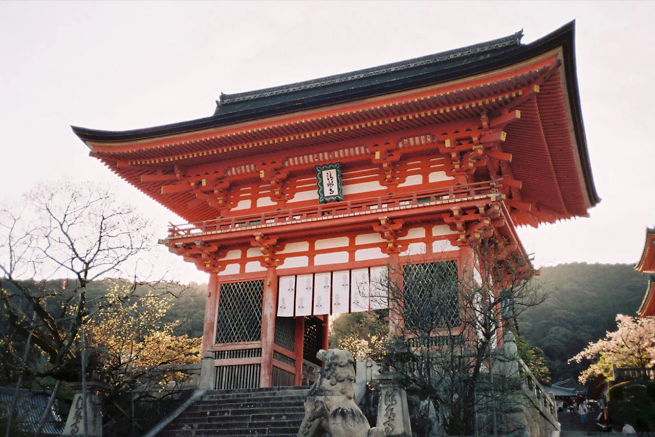 Anticipated 'Rollei 35 AF' Sample Photos Released! Sophisticated Expression of a Legendary Camera | Release #219