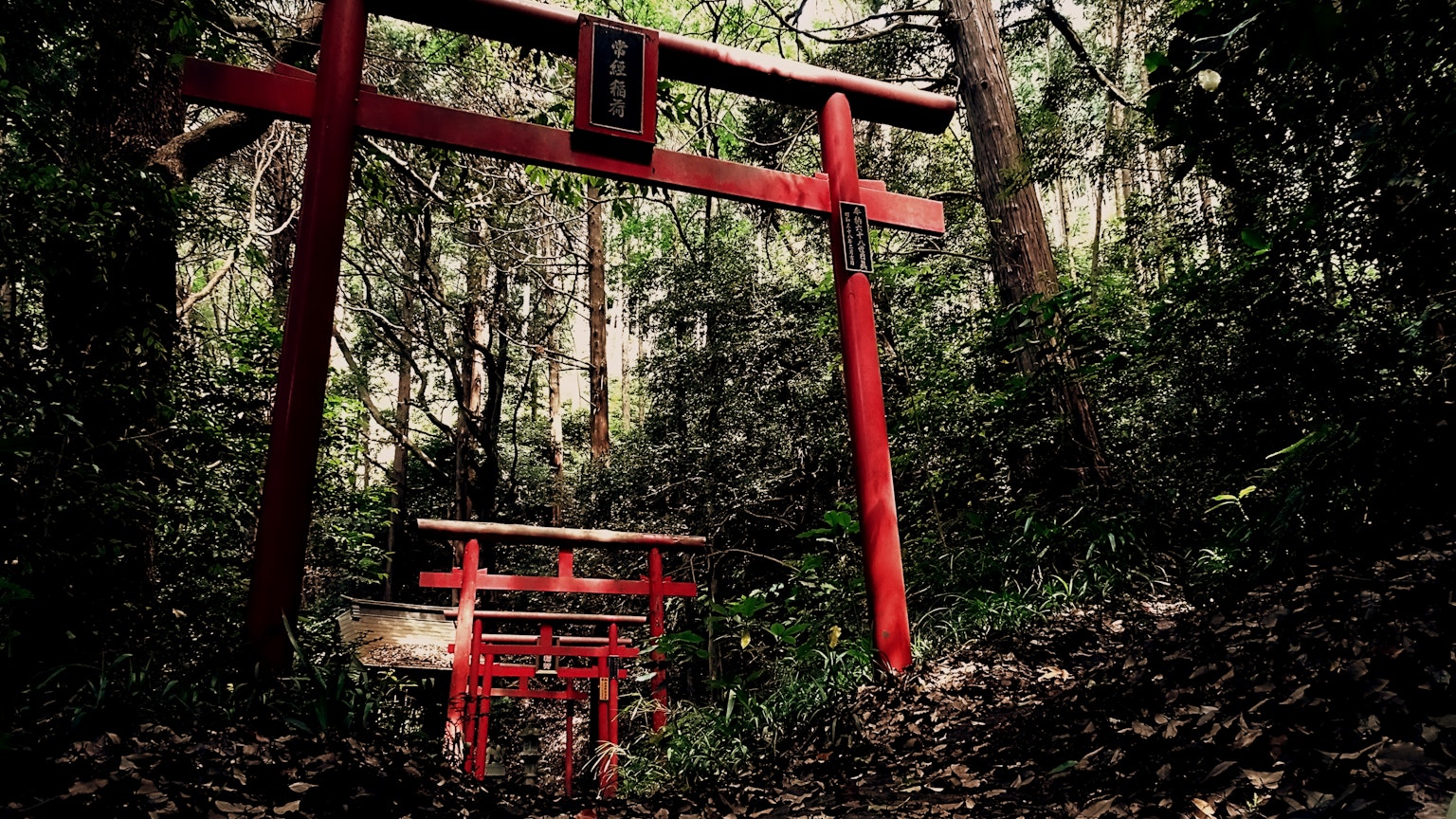 2024-06-digital-or-mirrorless-image-8