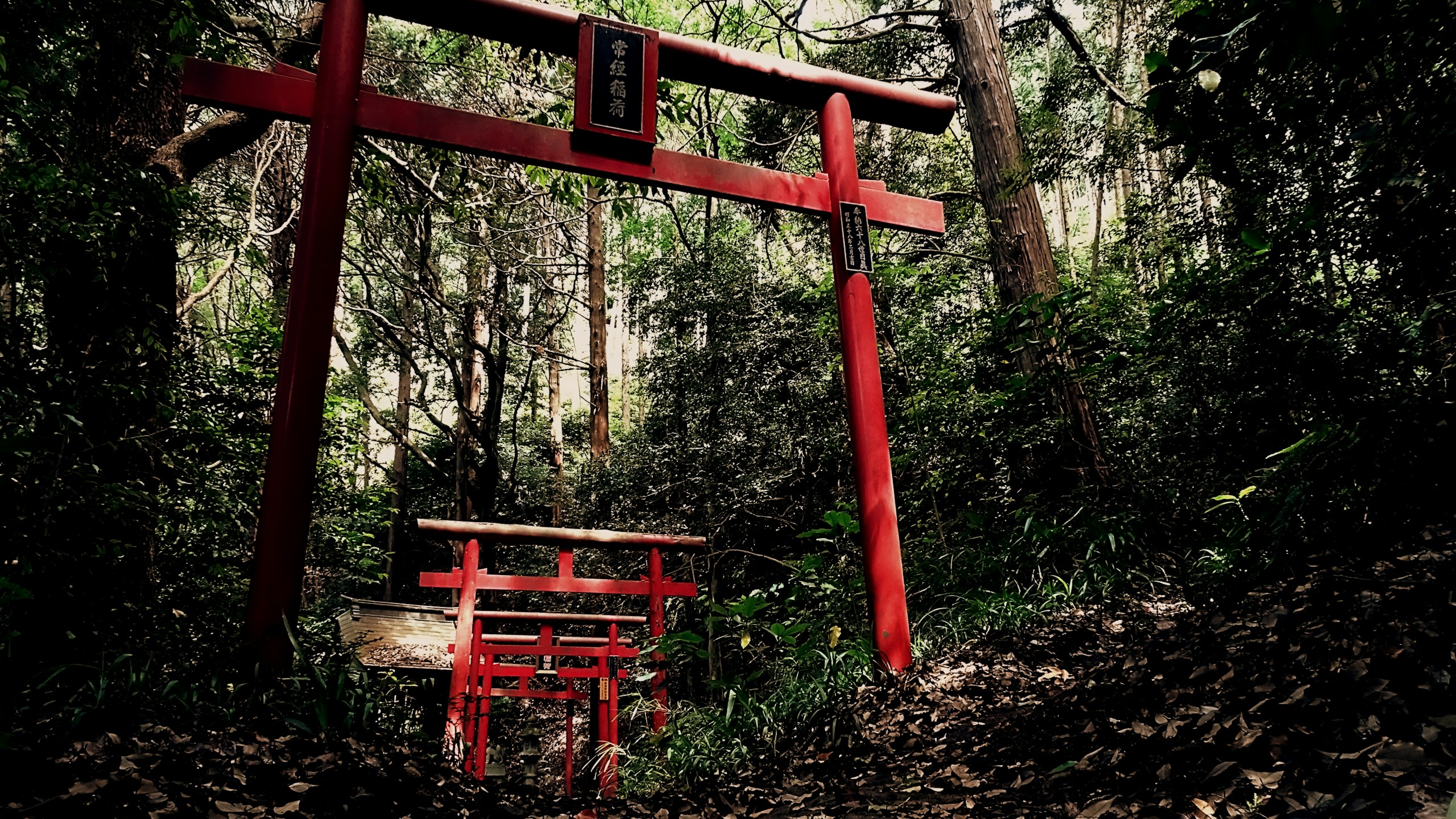 Image by Pojio