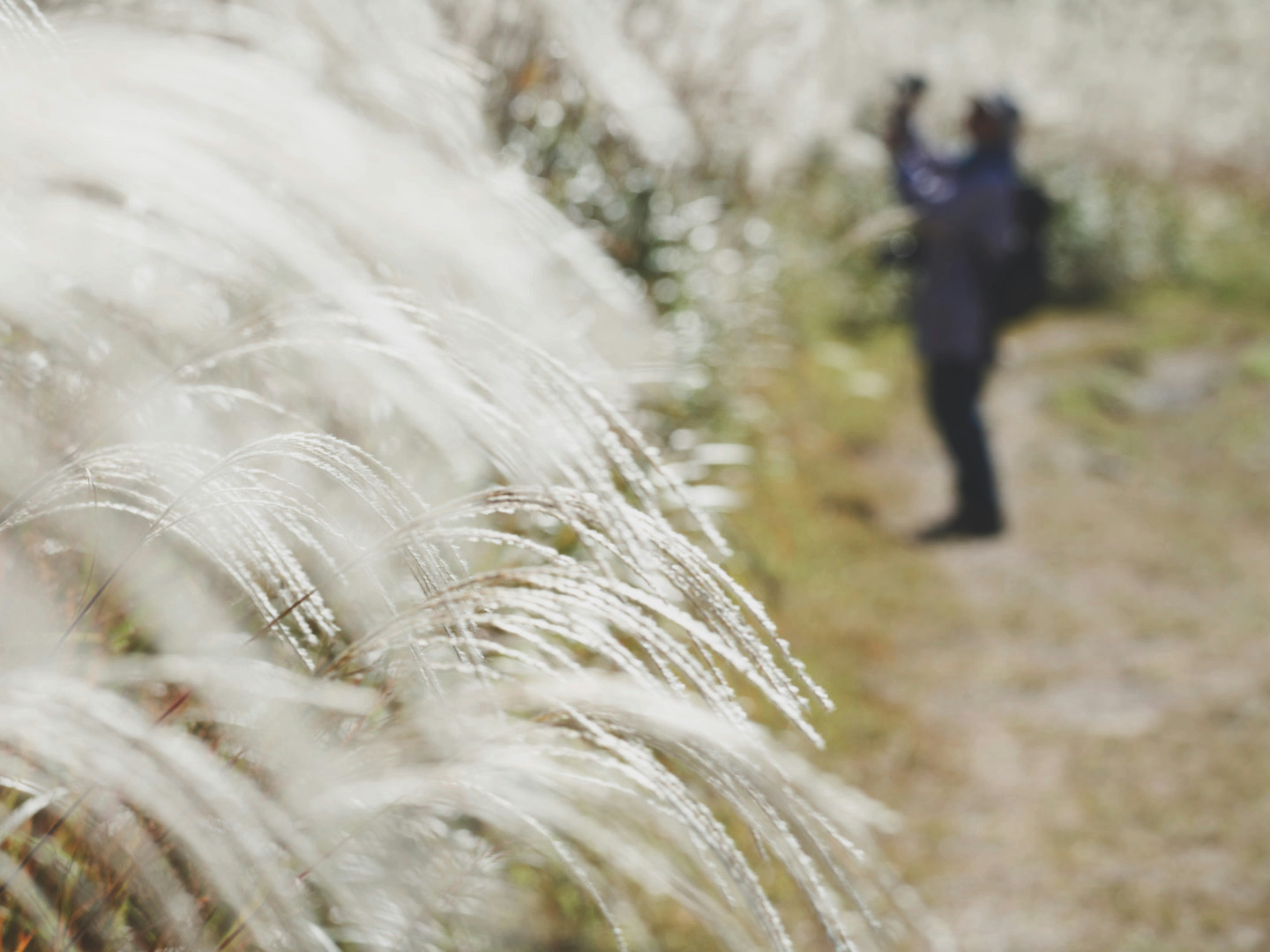 2025-10-same-location-photography-10-times-cover-image