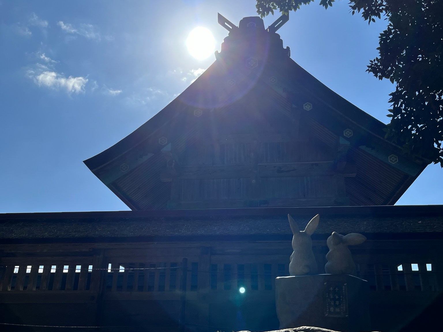 2024-11-izumo-taisha-image-9