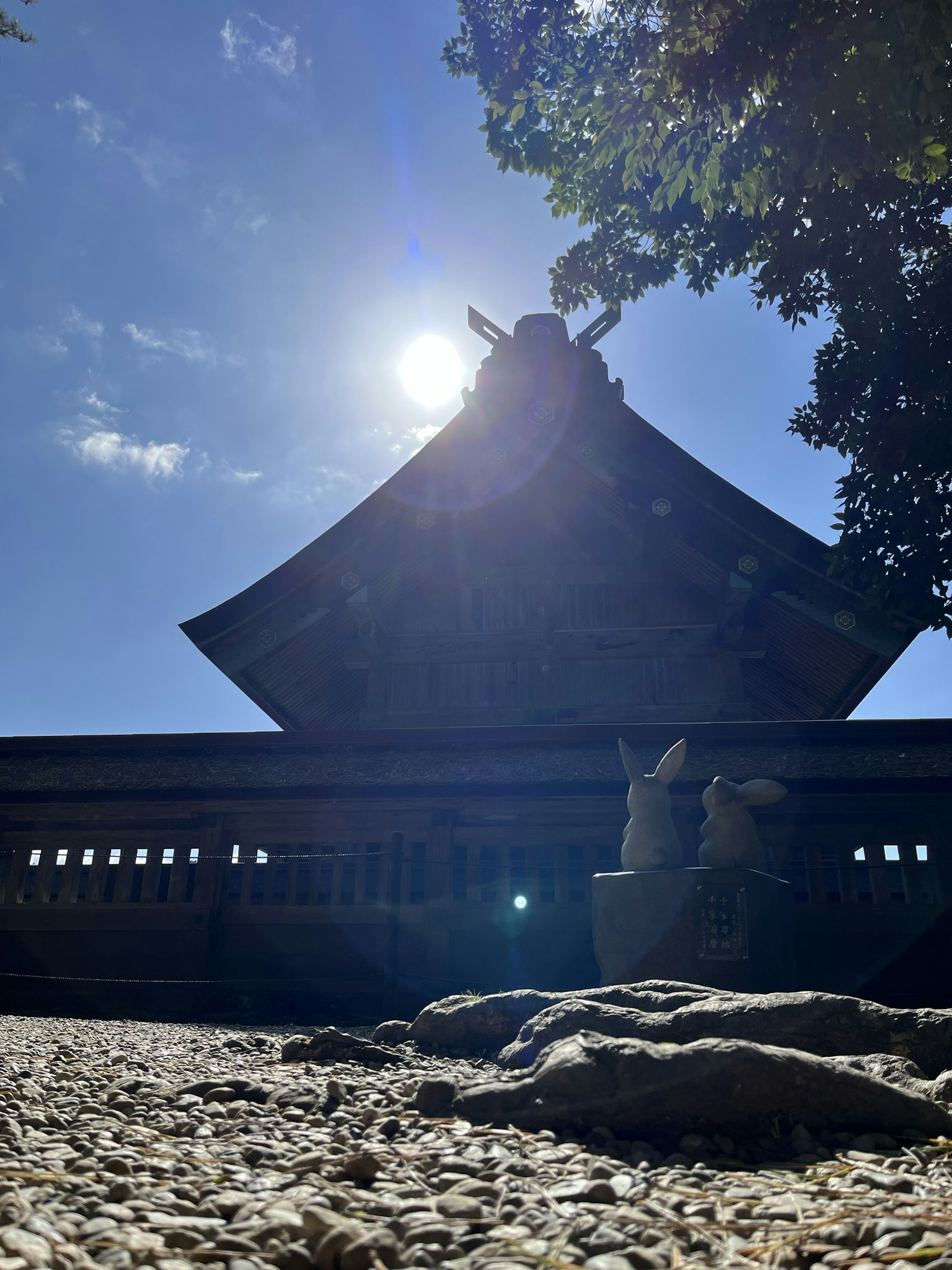 2024-11-izumo-taisha-image-9
