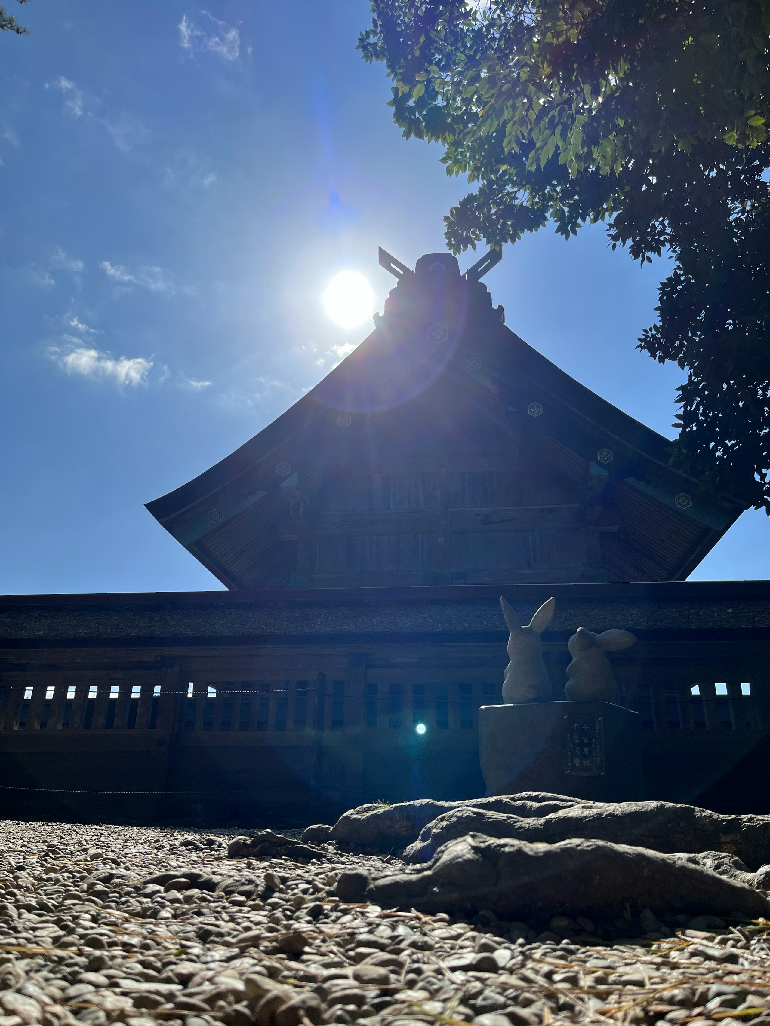 2024-11-izumo-taisha-image-9