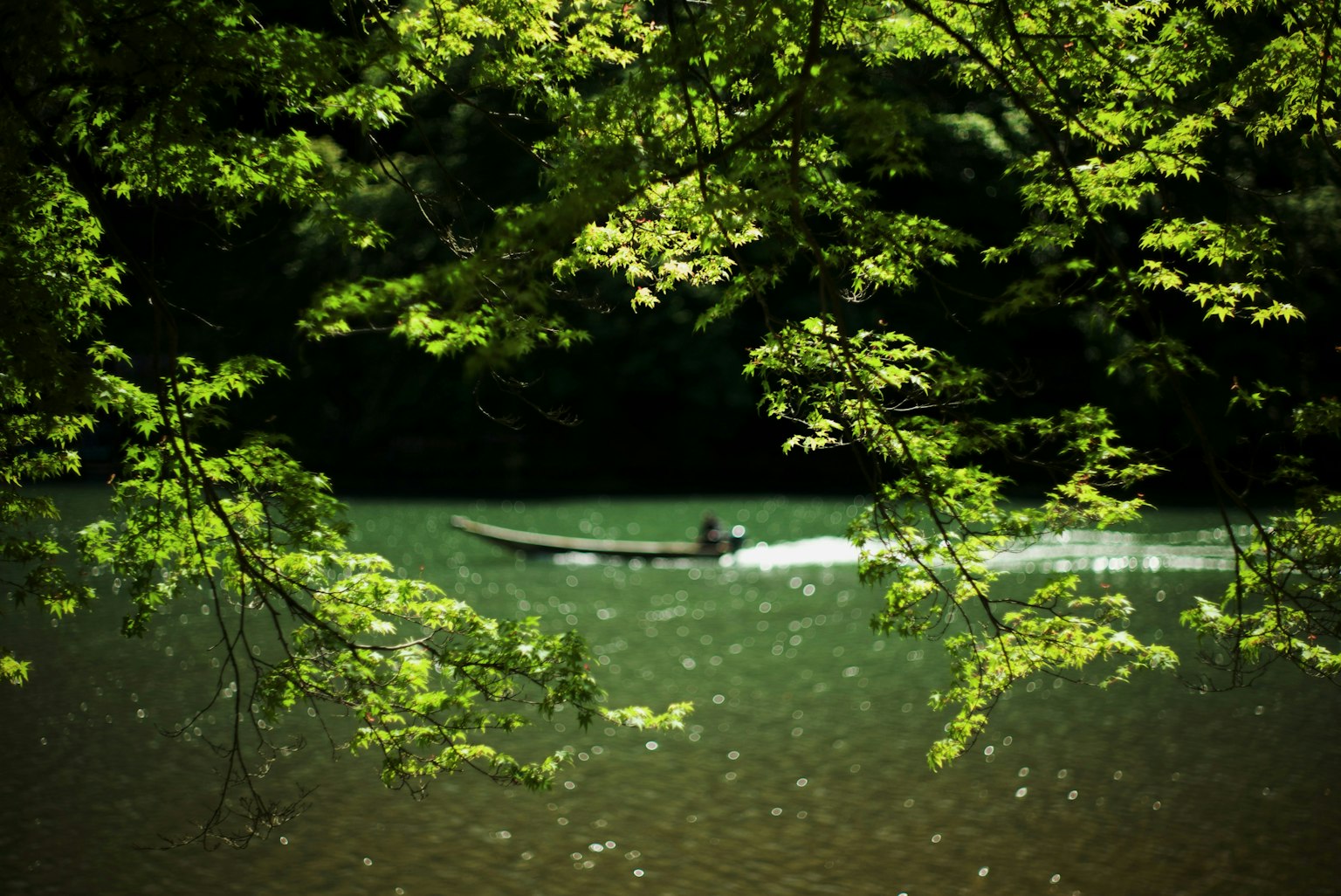 2025-07-summer-green-image-12