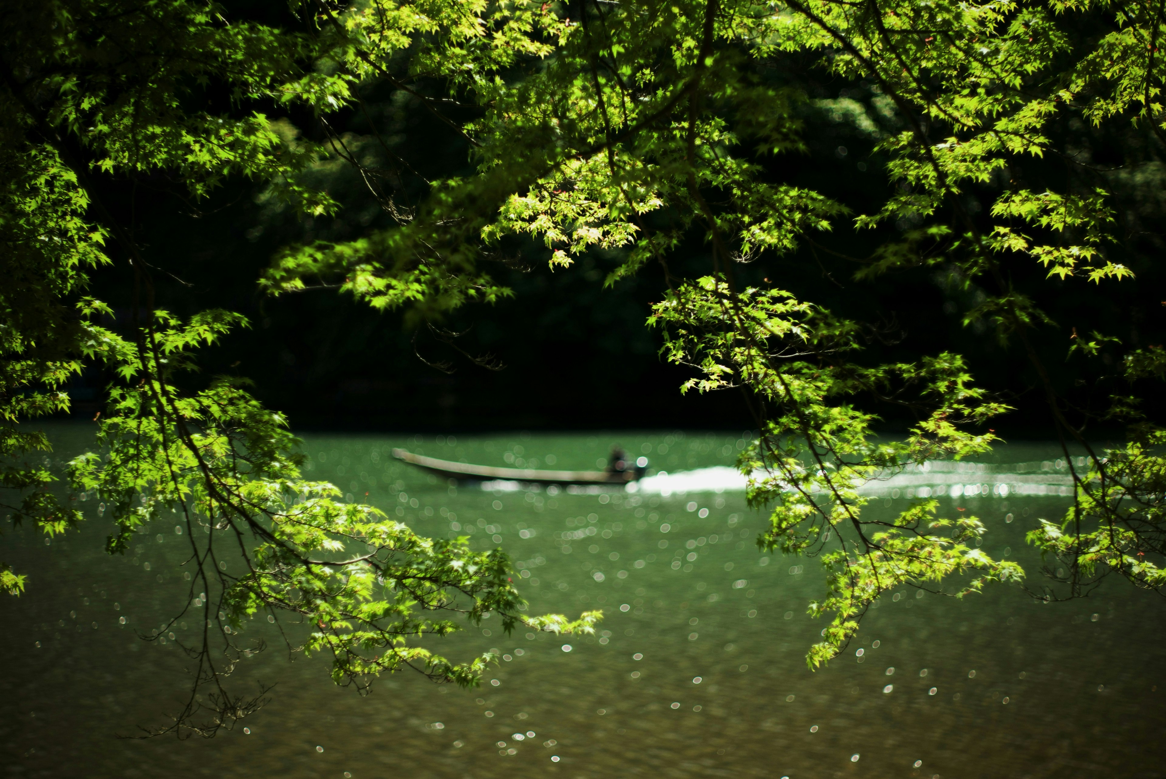 2025-07-summer-green-image-12