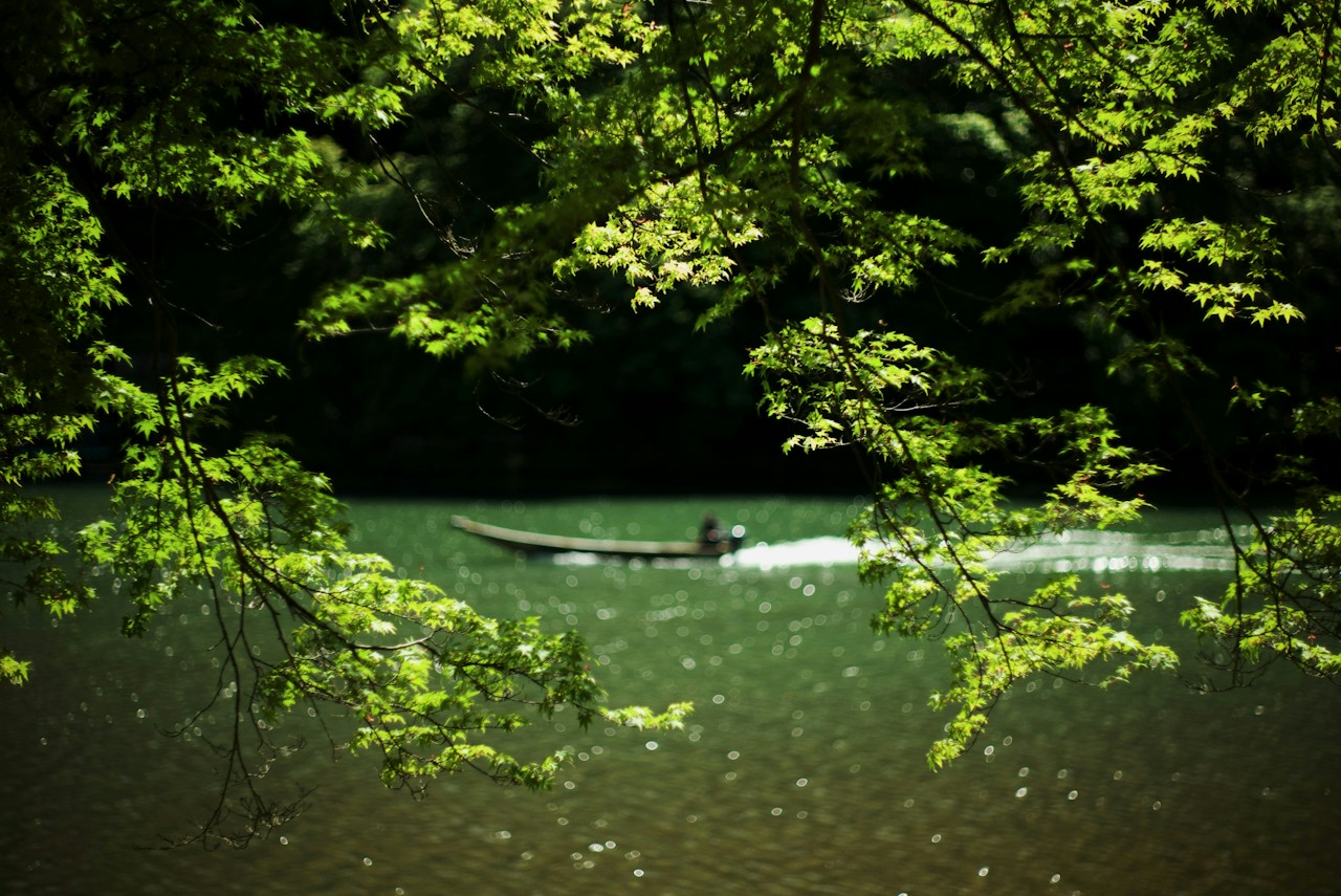 Photo by Yukihiro