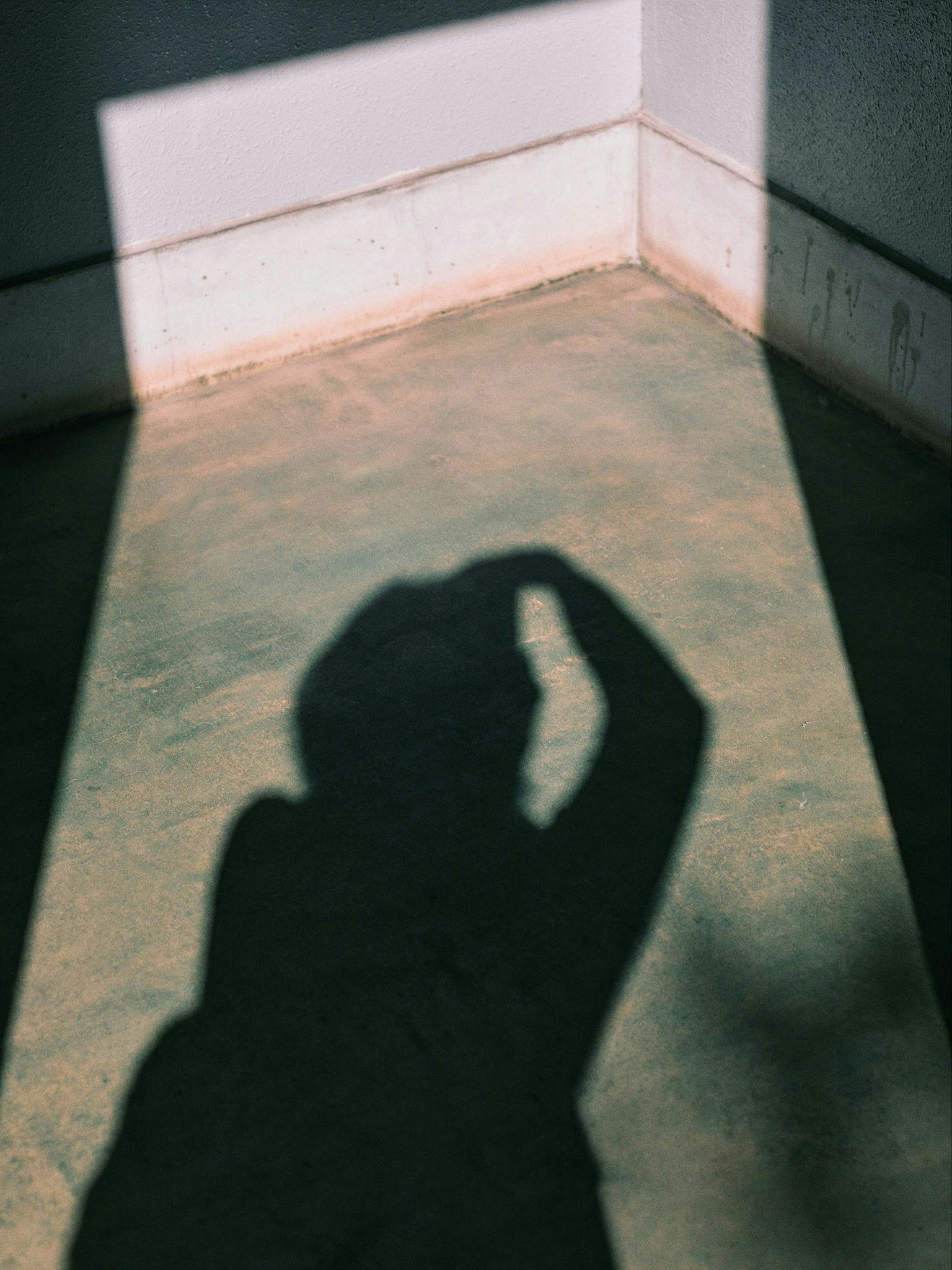 Photo by 好 | Kodai Yamashita