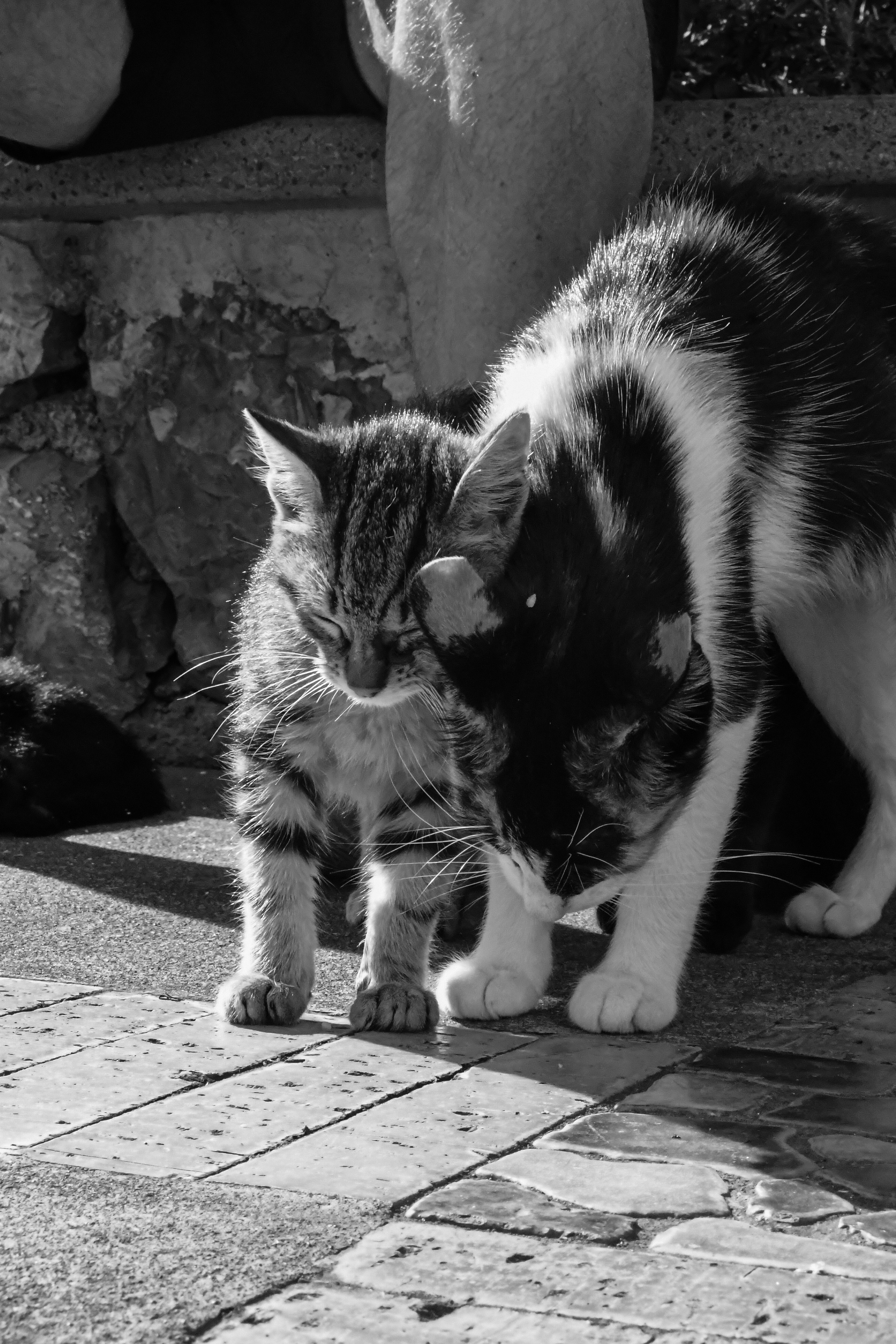 Photo by Pikanchor