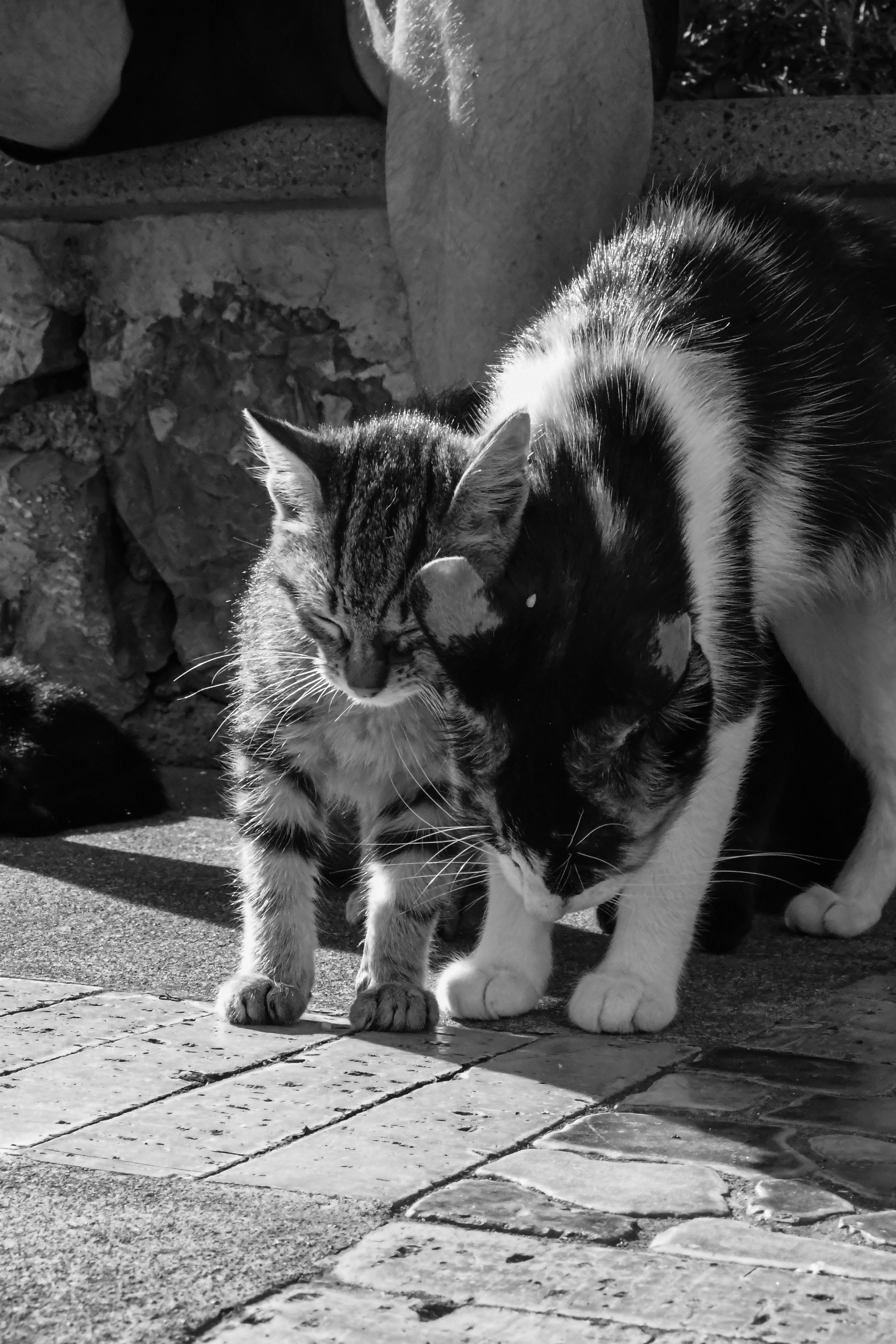 Photo by Pikanchor