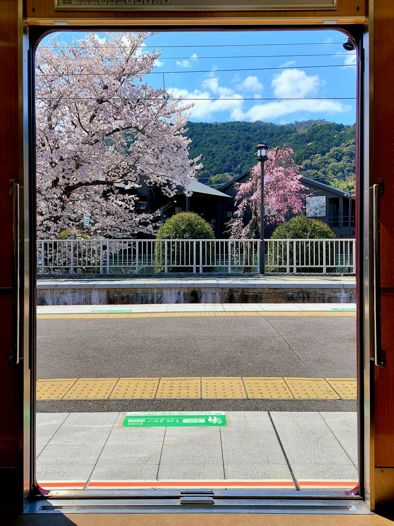 2024-10-frame-composition-image-12