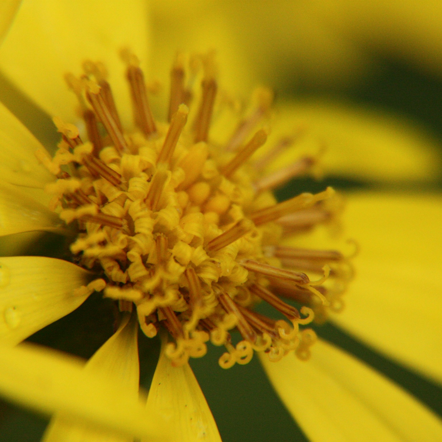 2024-09-macro-cover-image