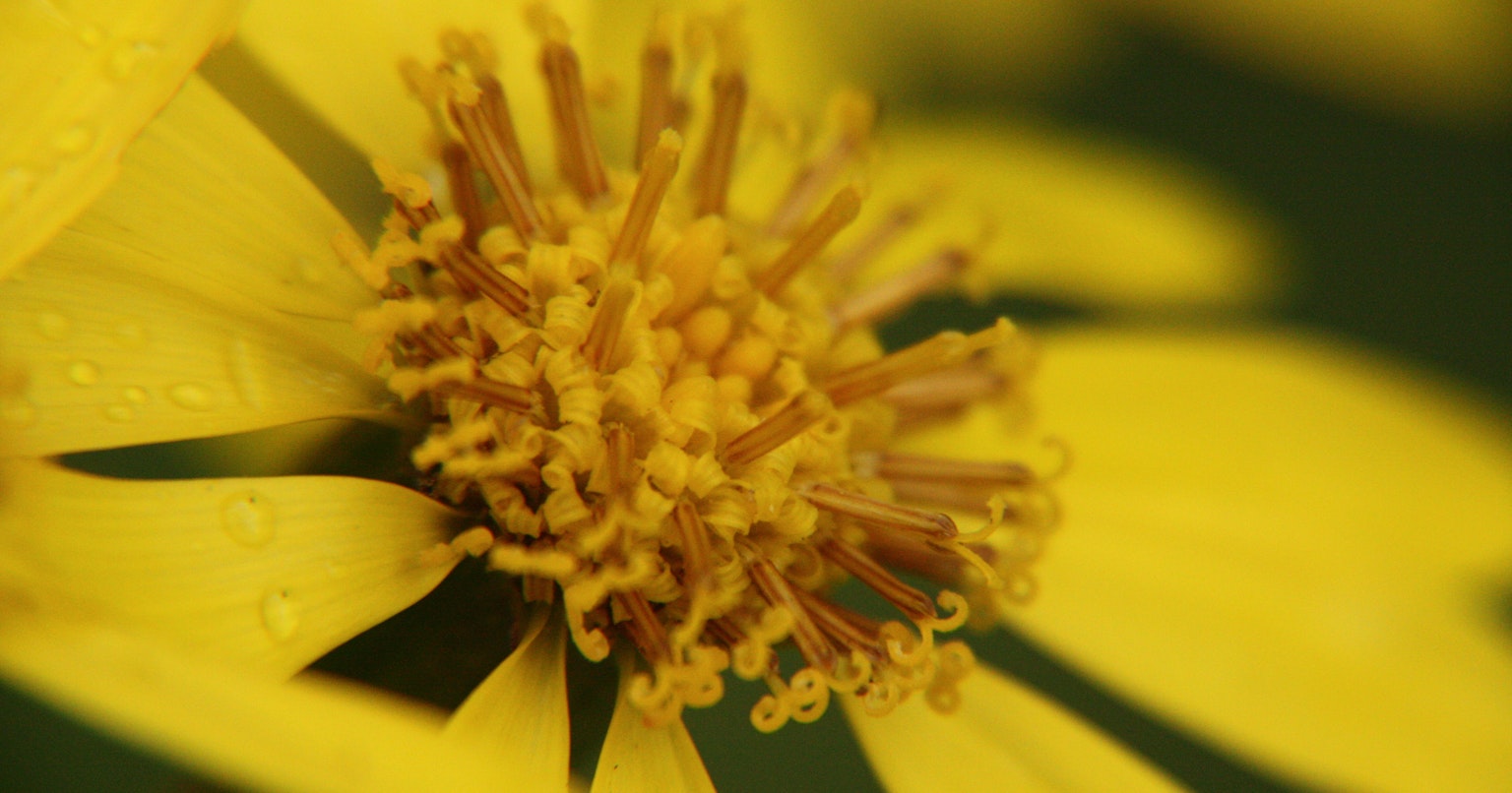 2024-09-macro-cover-image