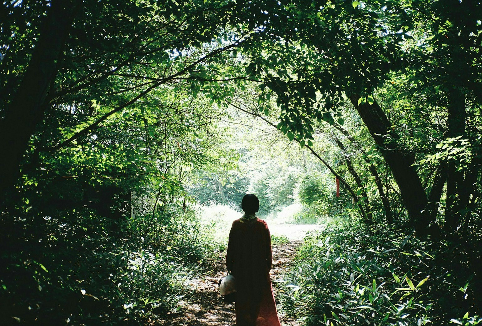 2025-07-photo-contest-pr-2-image-19