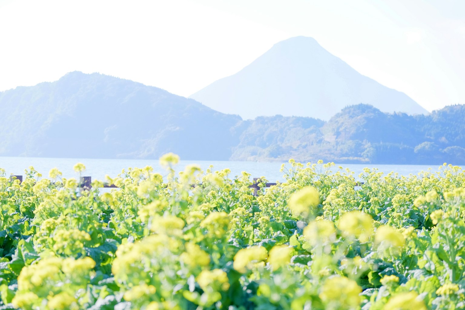 2024-10-apple-intelligence-release-image-4