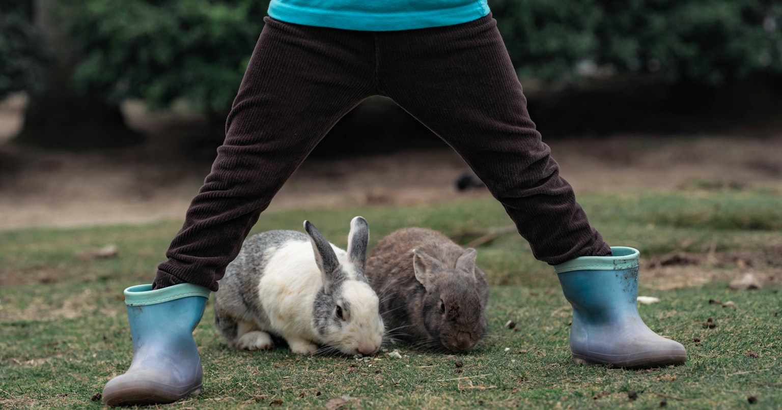 2025-03-fujikko-sigma-105mm-macro-portrait-cover-image