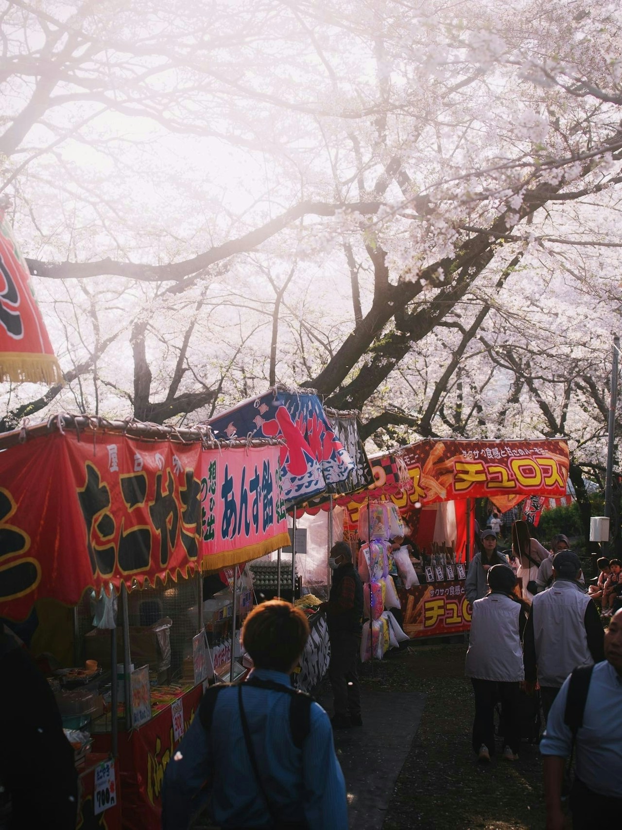 Photo by Mushi