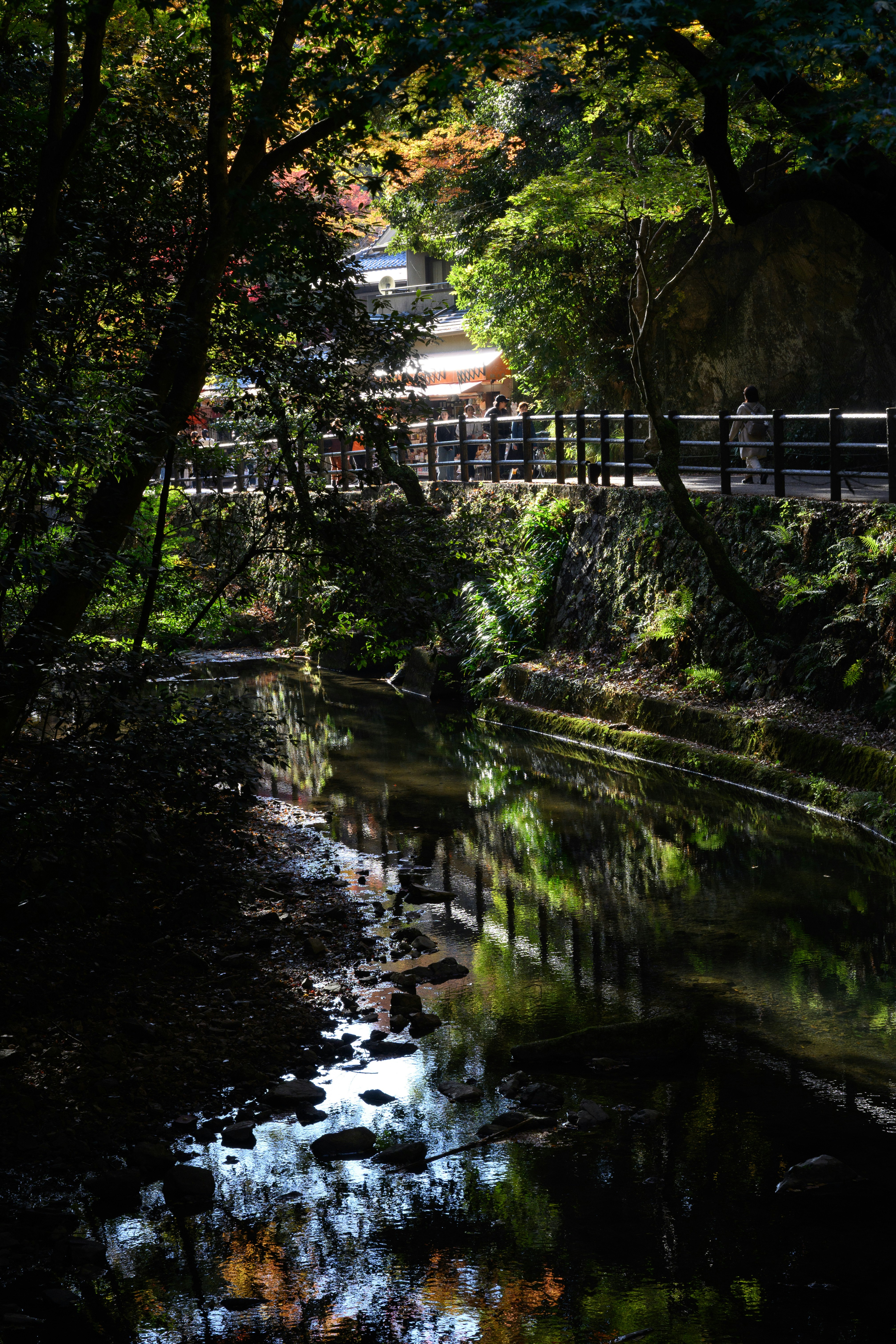 2025-12-shoot-with-aperture-image-8