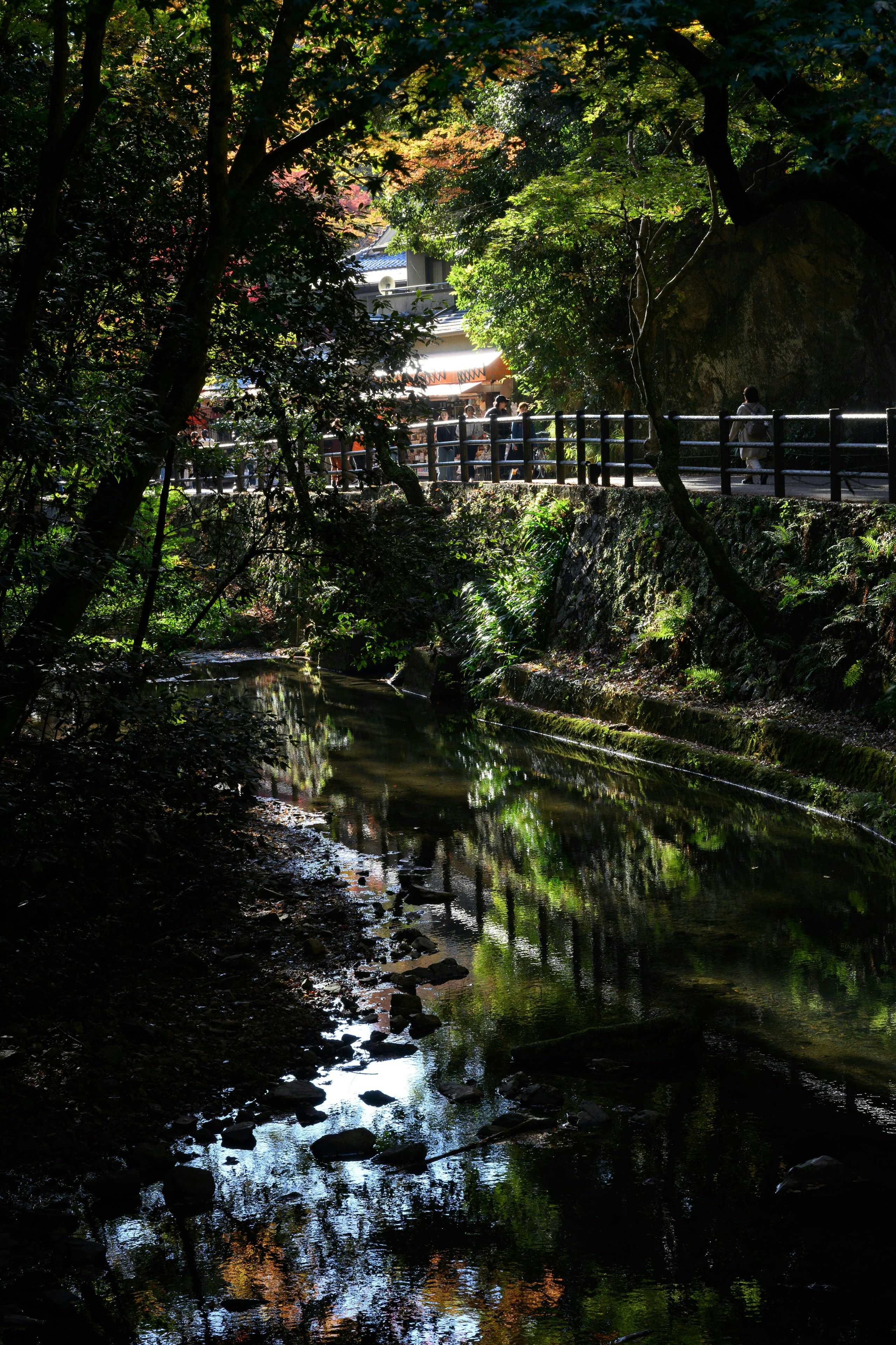2025-12-shoot-with-aperture-image-8
