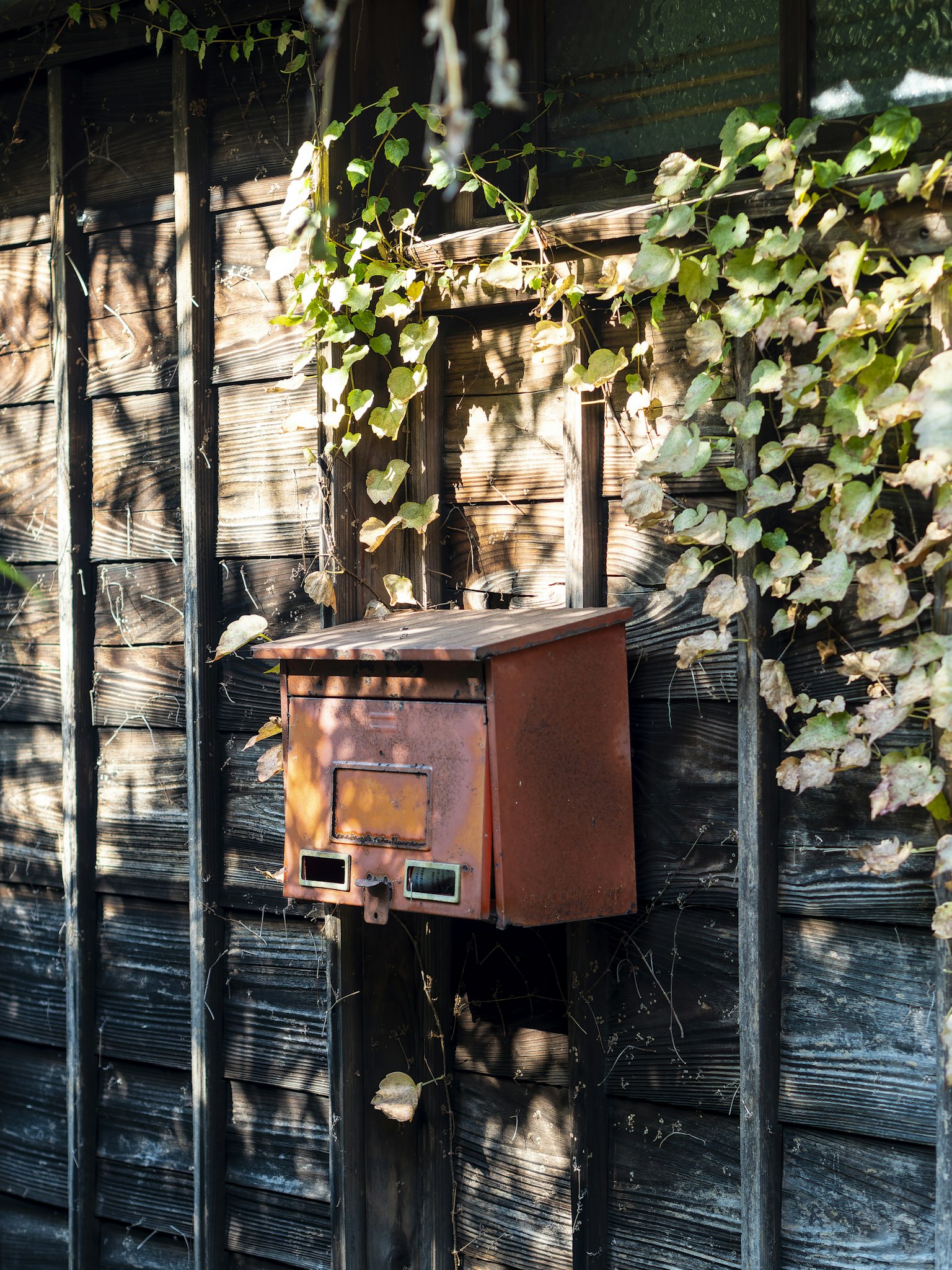 2024-05-fall-into-decay-image-21