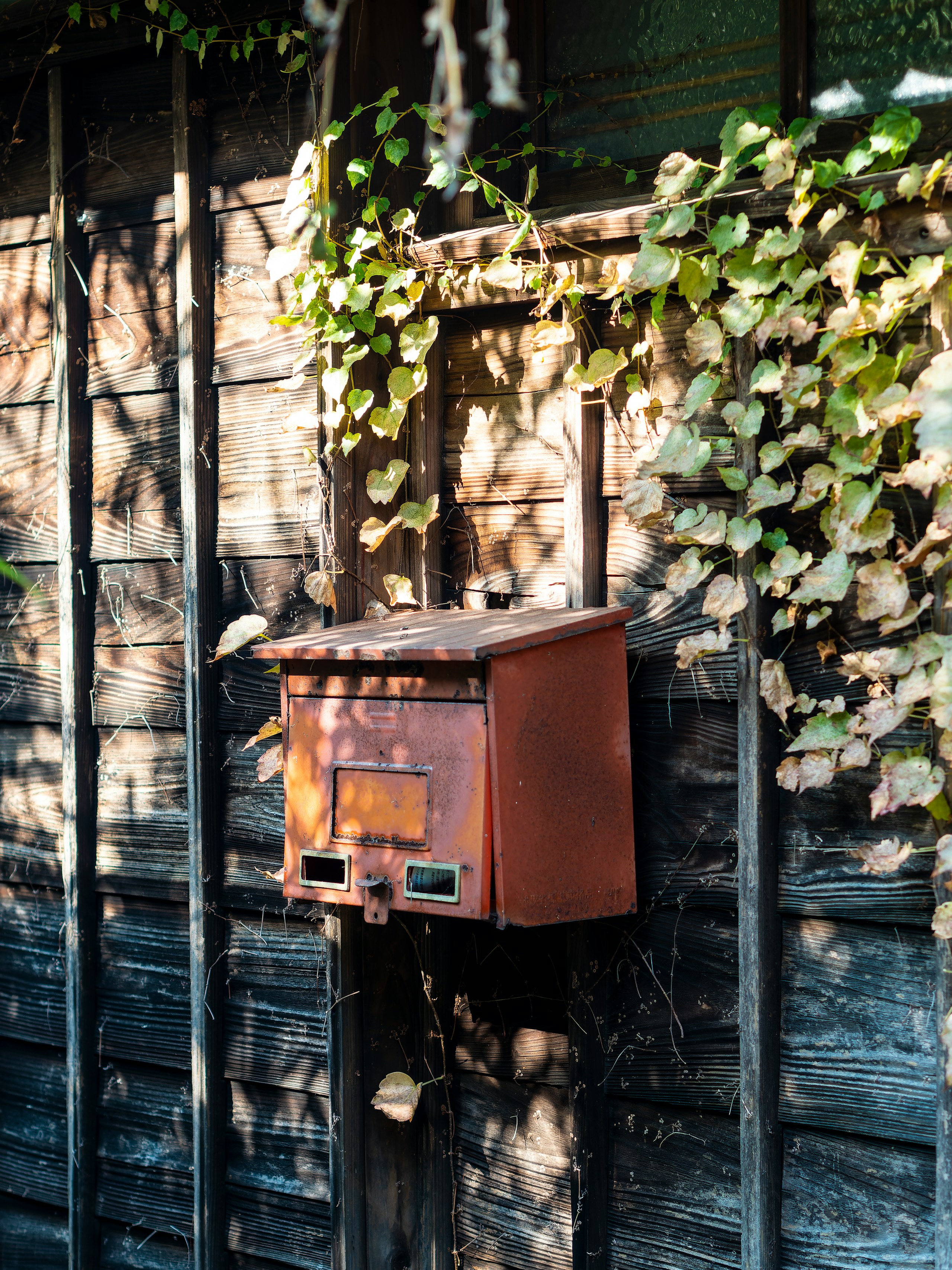 2024-05-fall-into-decay-image-21