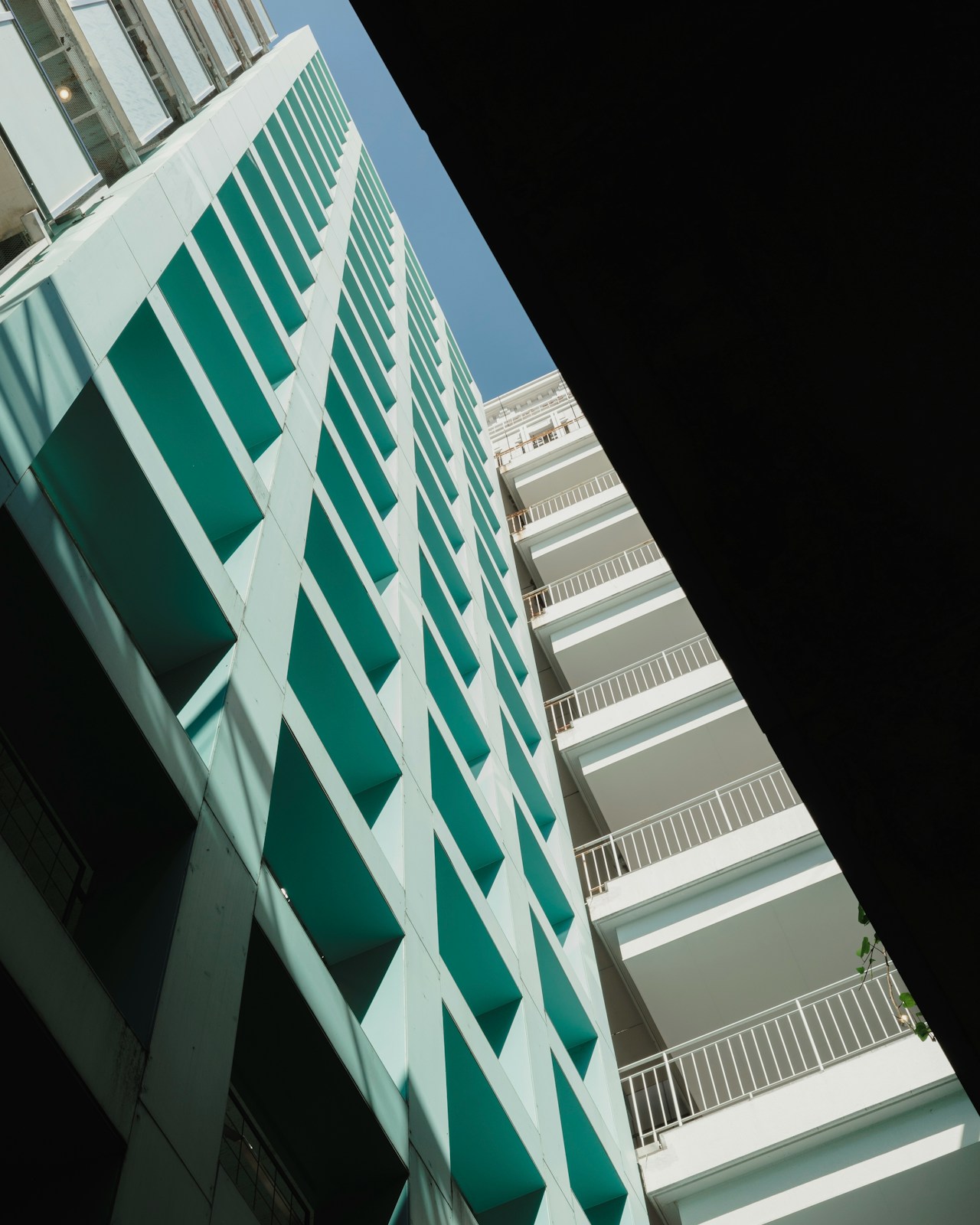 Image by Ryuji Azuma