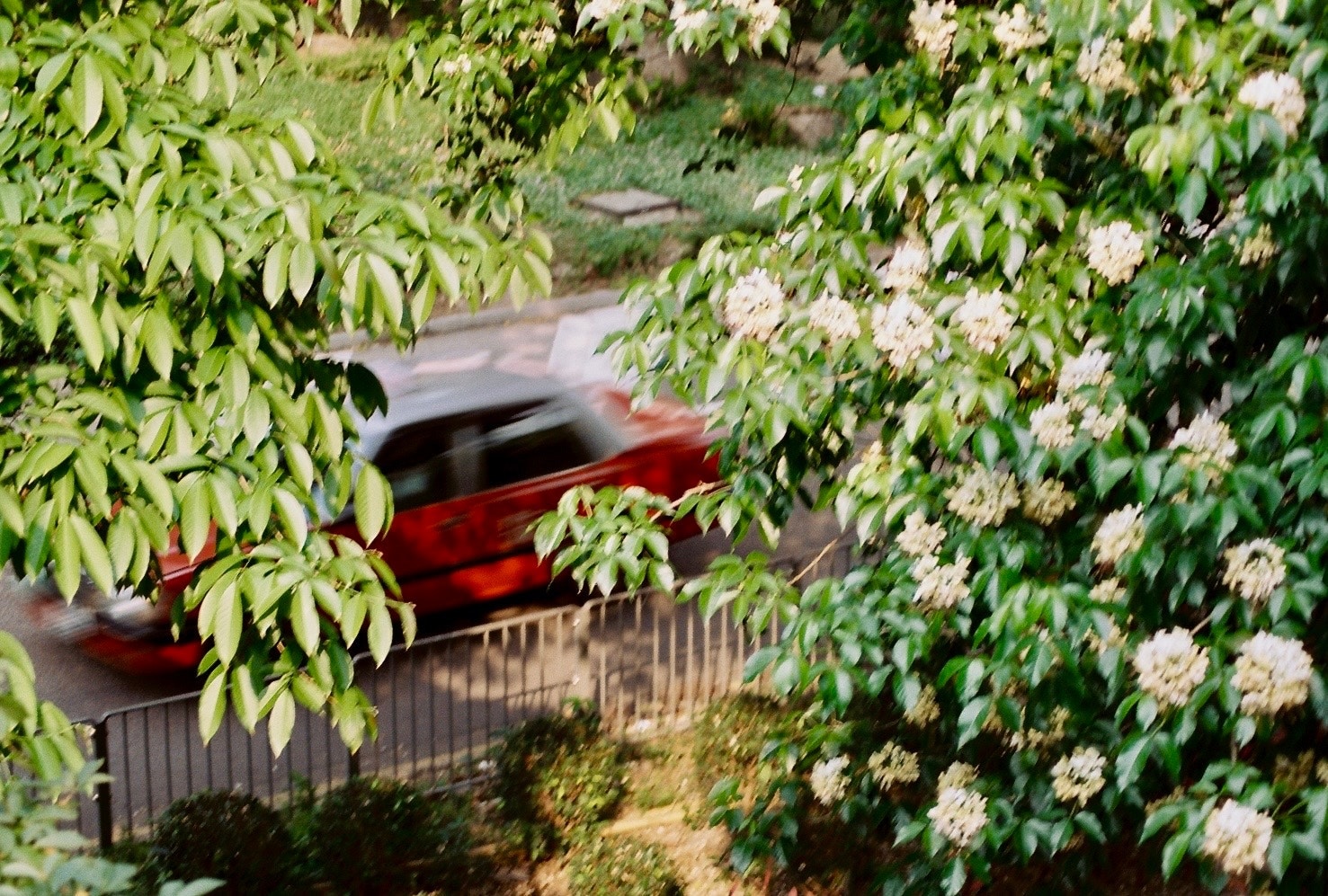 2026-04-light-report-image-9