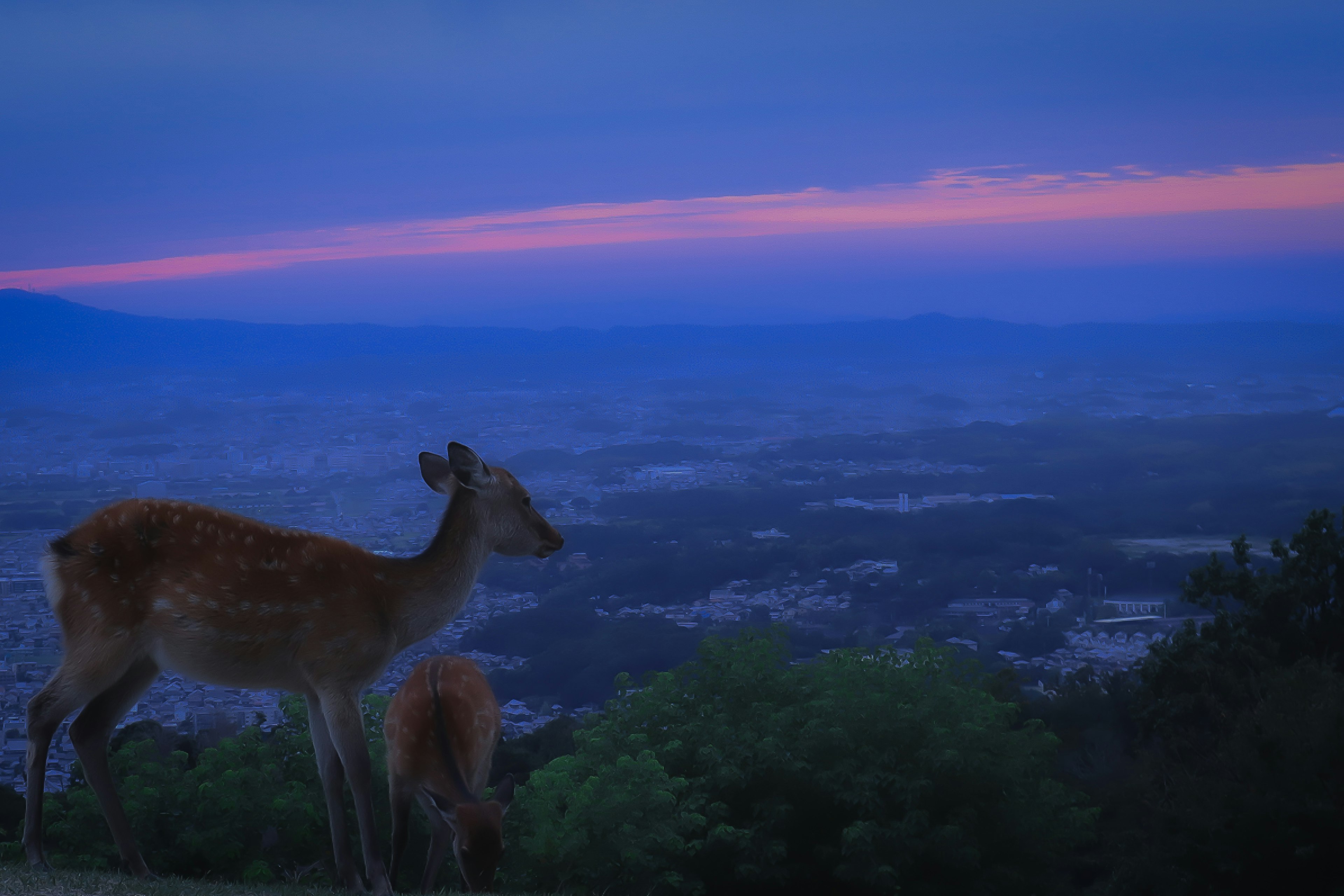 2024-10-poem-each-in-nara-image-3