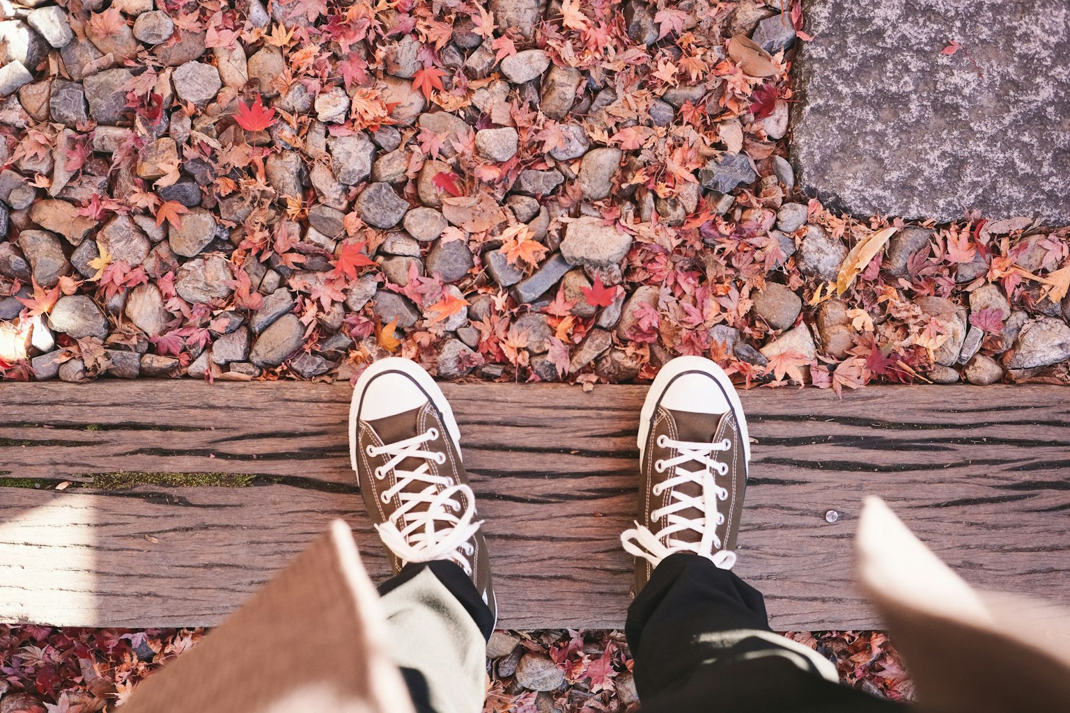 2024-05-fall-into-decay-image-9