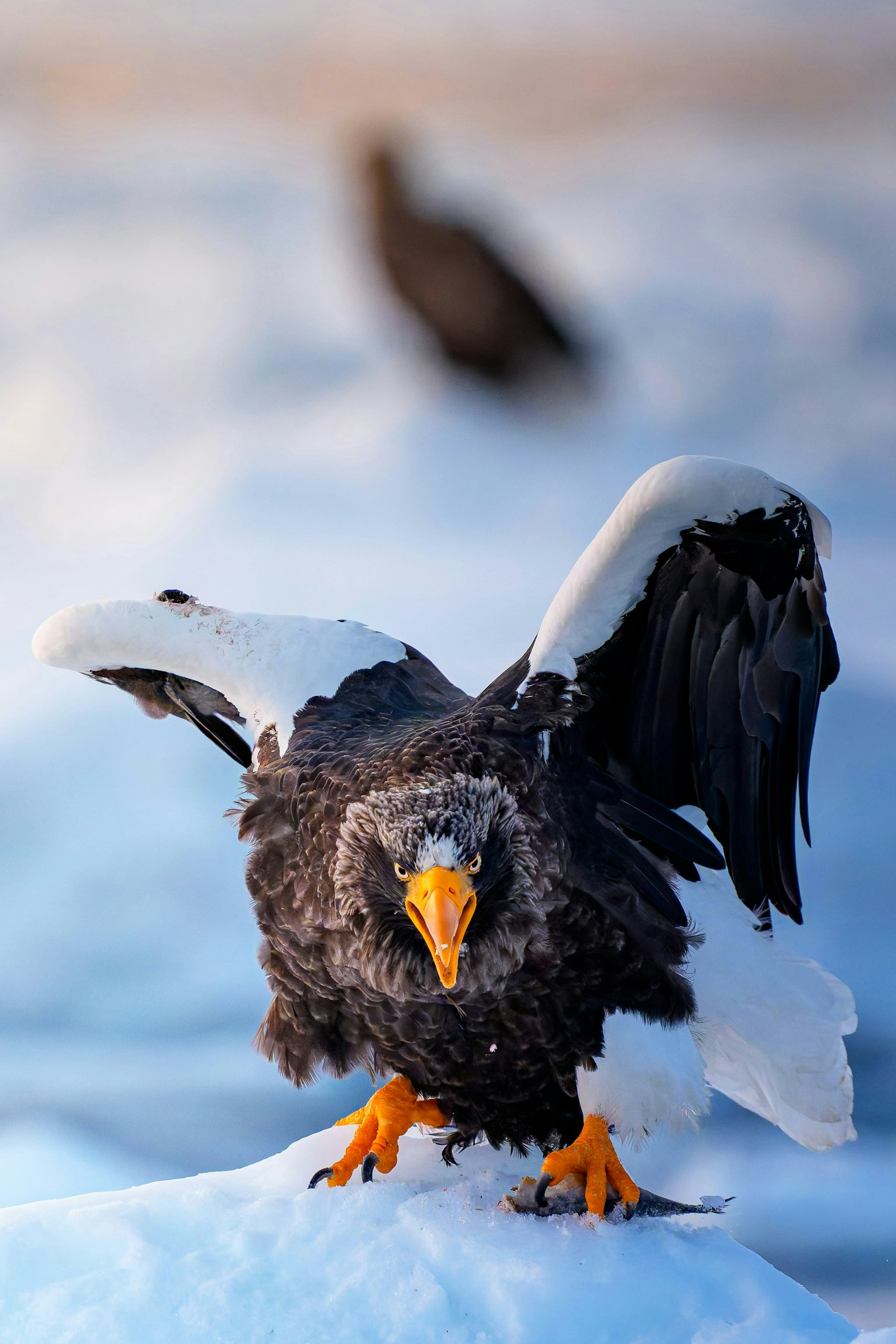 2025-04-masa-10-questions-image-31