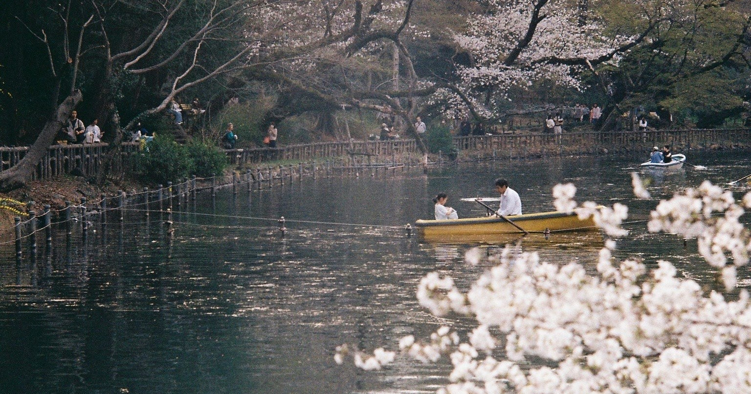 2025-04-march-diary-25-award-cover-image