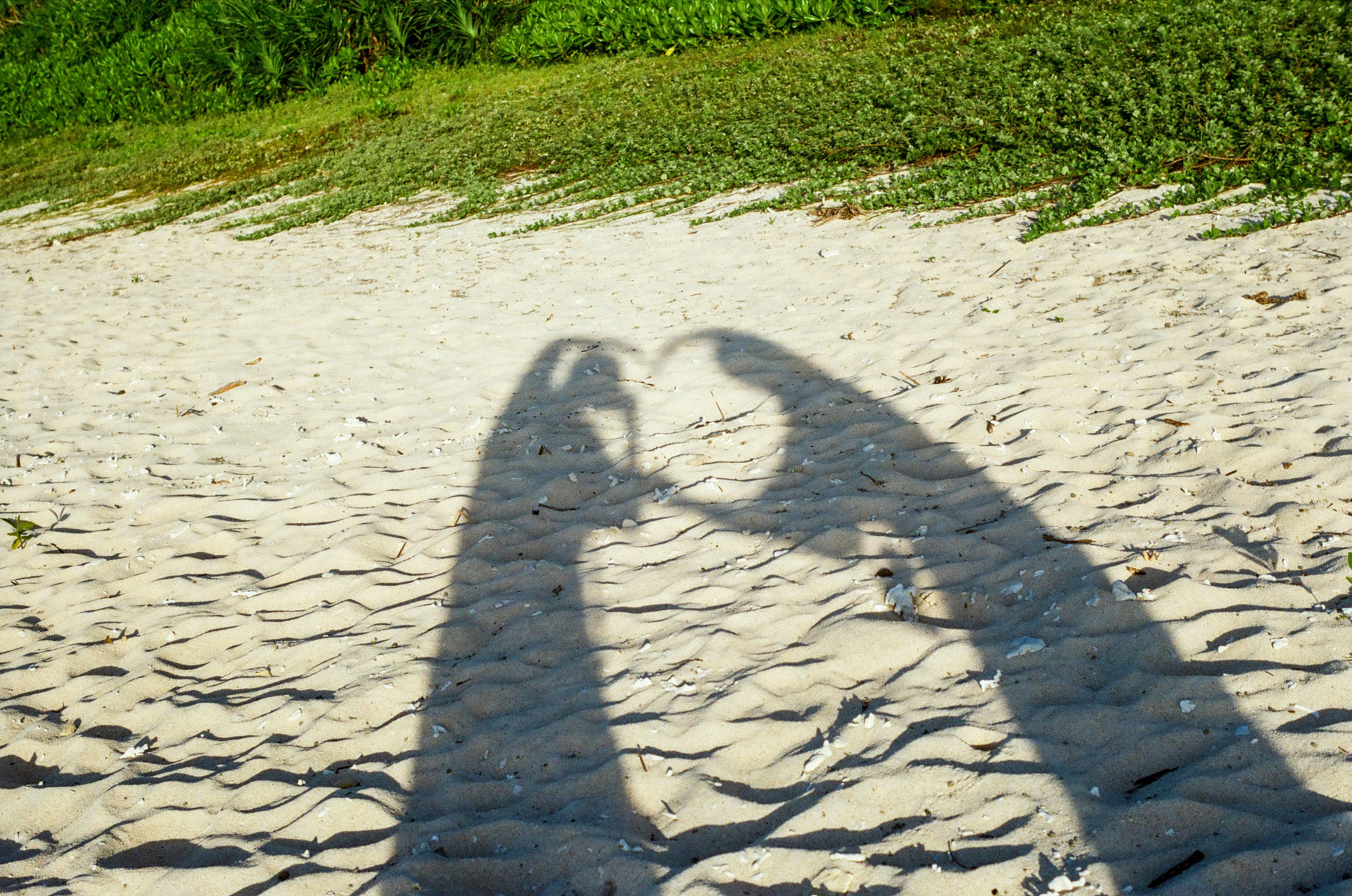 2025-11-couplec-present-future-image-2