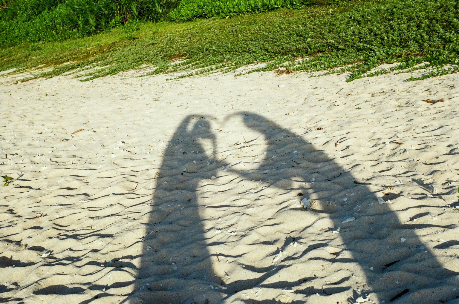 2025-11-couplec-present-future-image-2