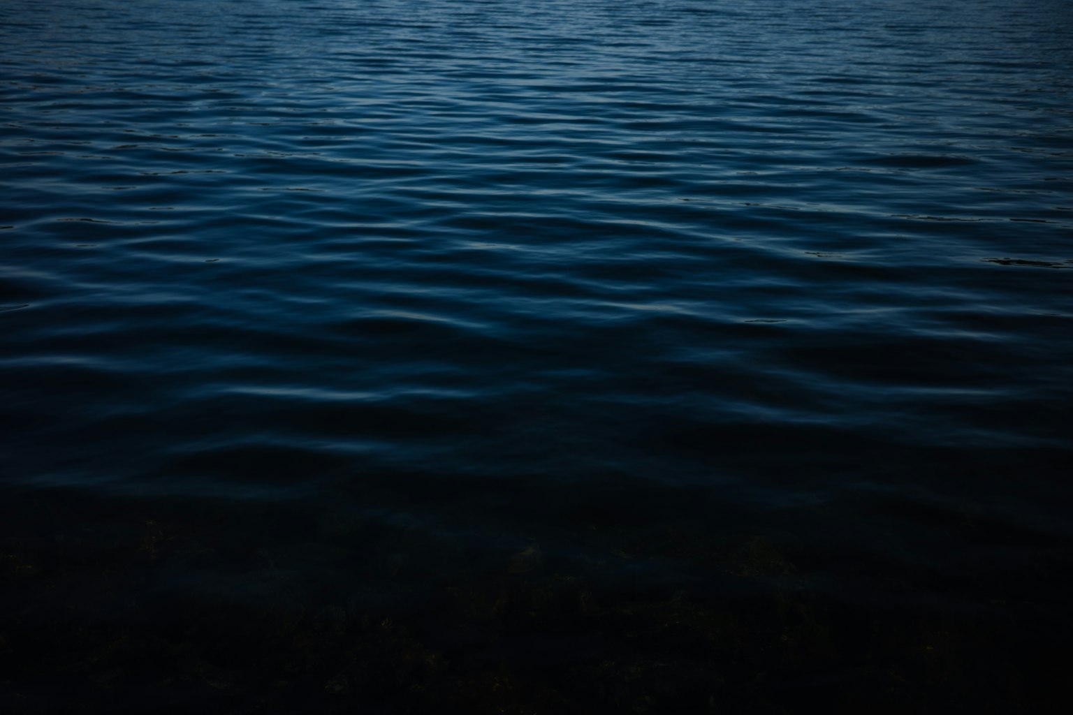 2024-04-focus-gr-3-x-image-11