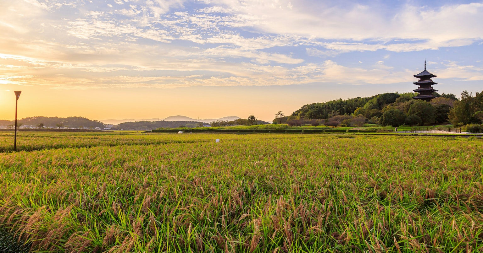 2024-09-september-photography-subjects-cover-image