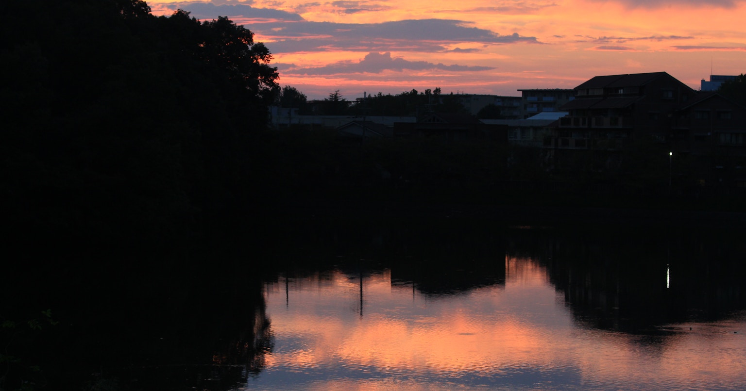 2023-12-unseen-beauty-award-cover-image