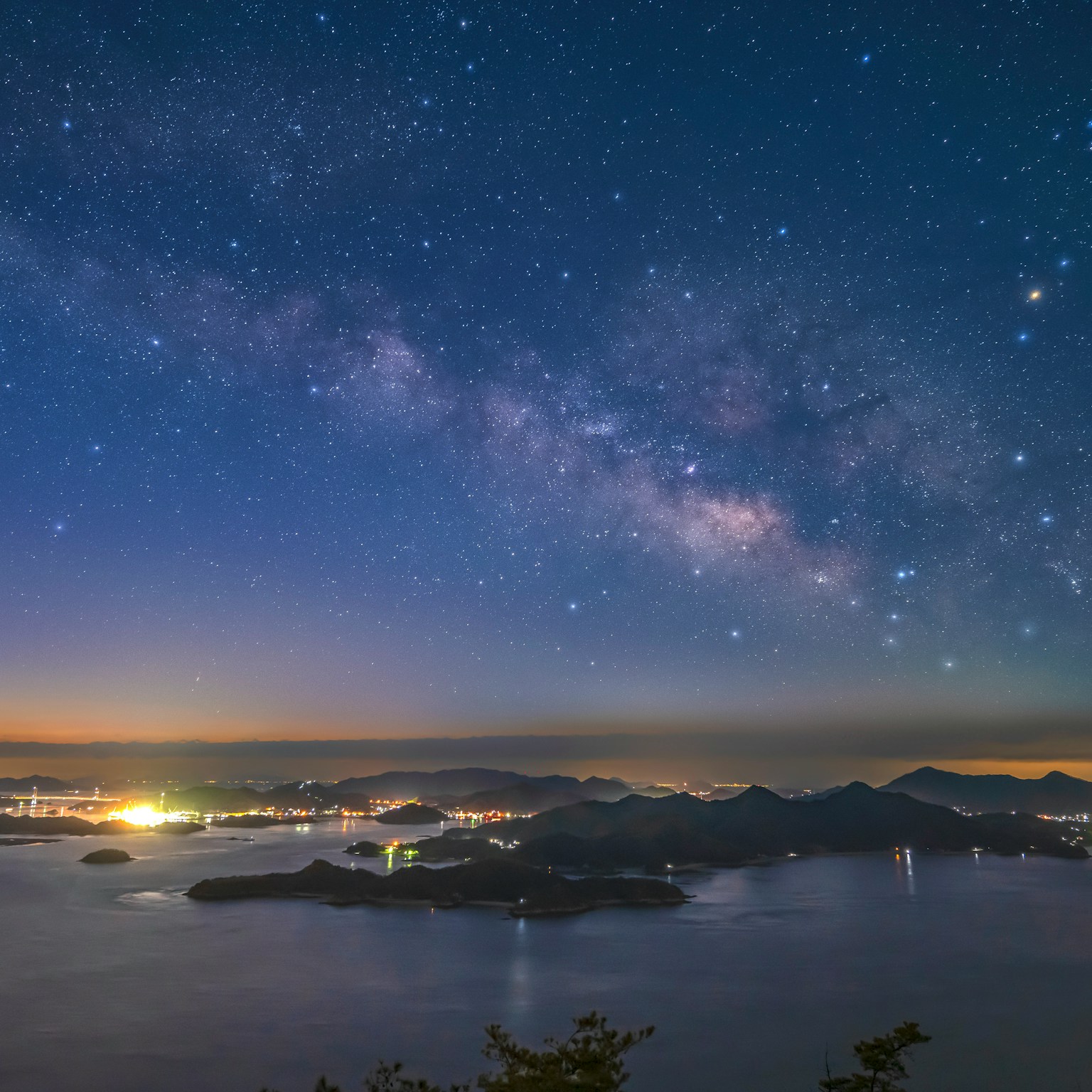 2024-11-nightscape-show-cover-image