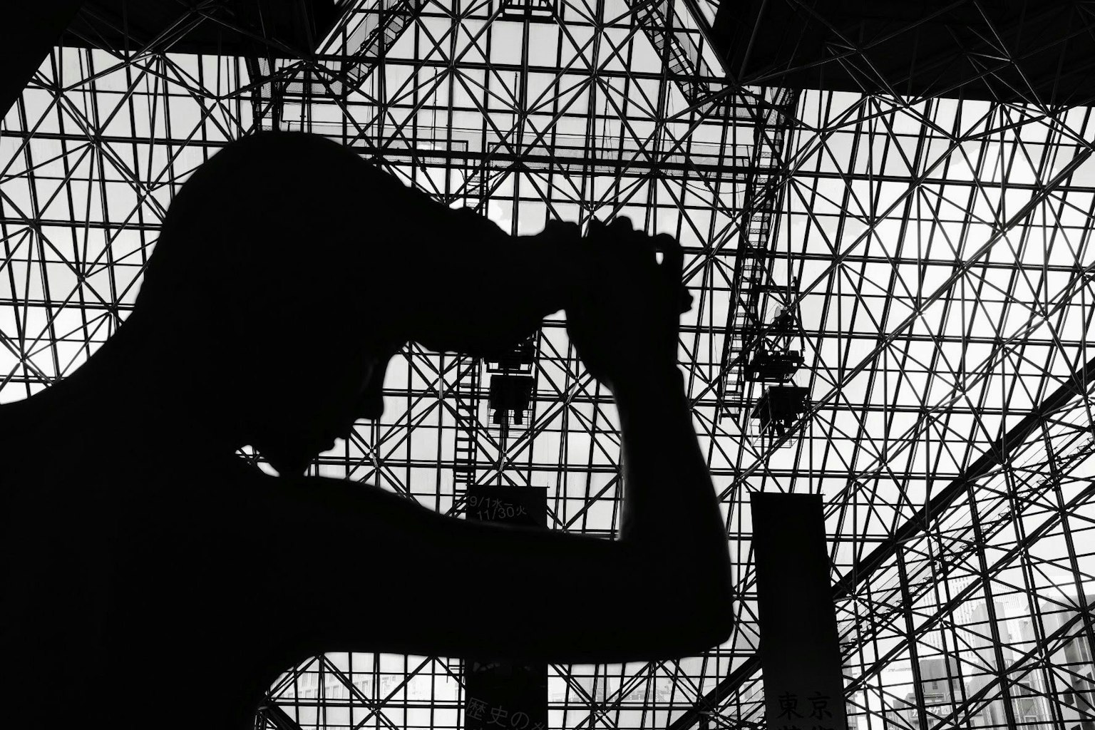 2024-11-ikebukuro-camera-stores-image-2