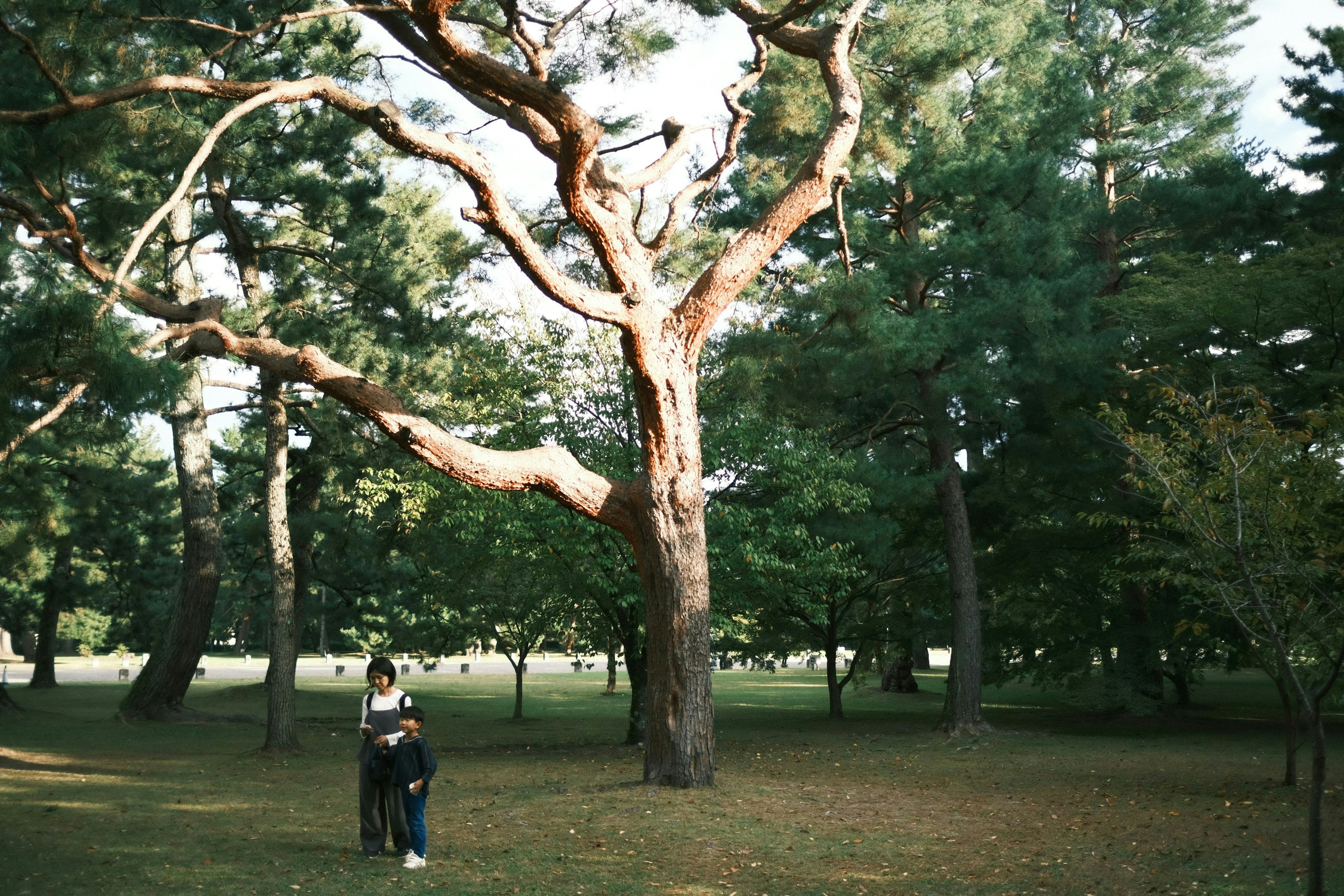 2025-05-masa-hands-on-photography-image-9